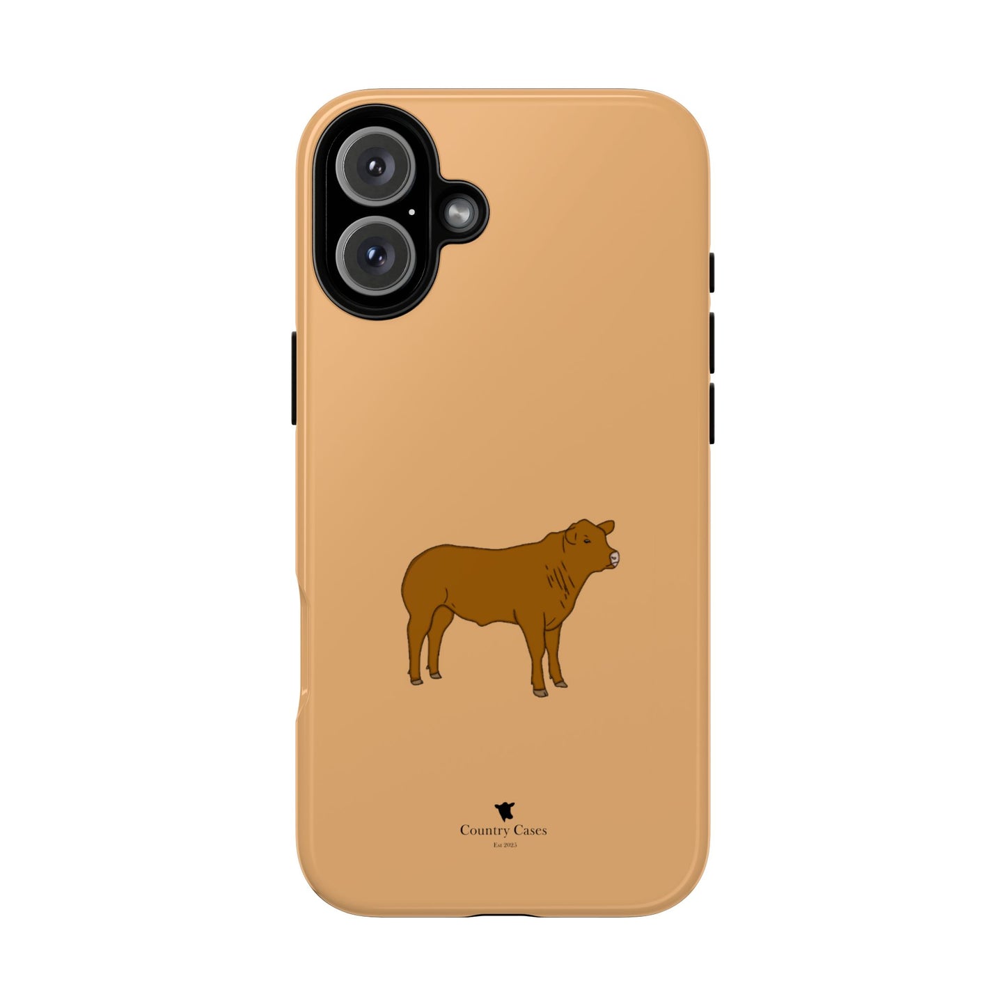 Beef cow case