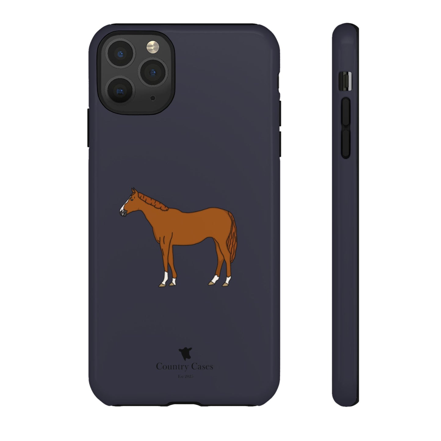 Chestnut horse case