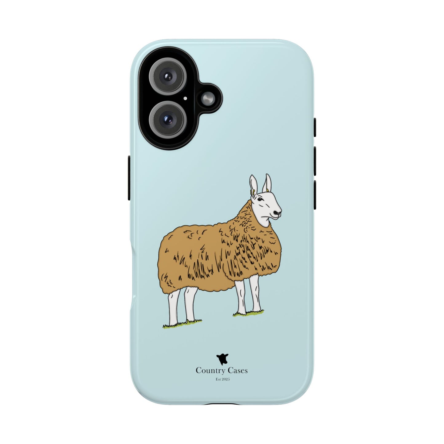 Border Leicester case