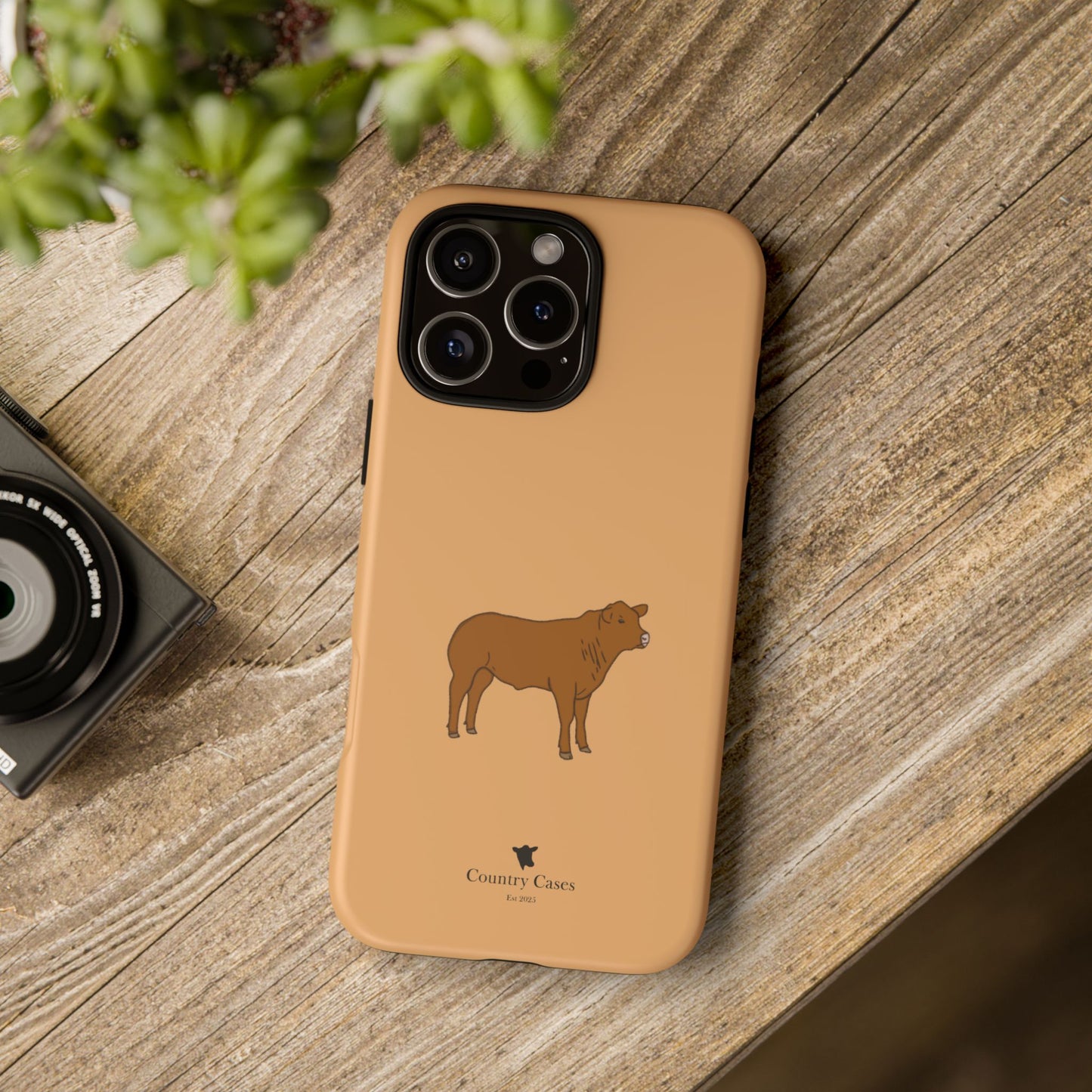 Beef Cow Case
