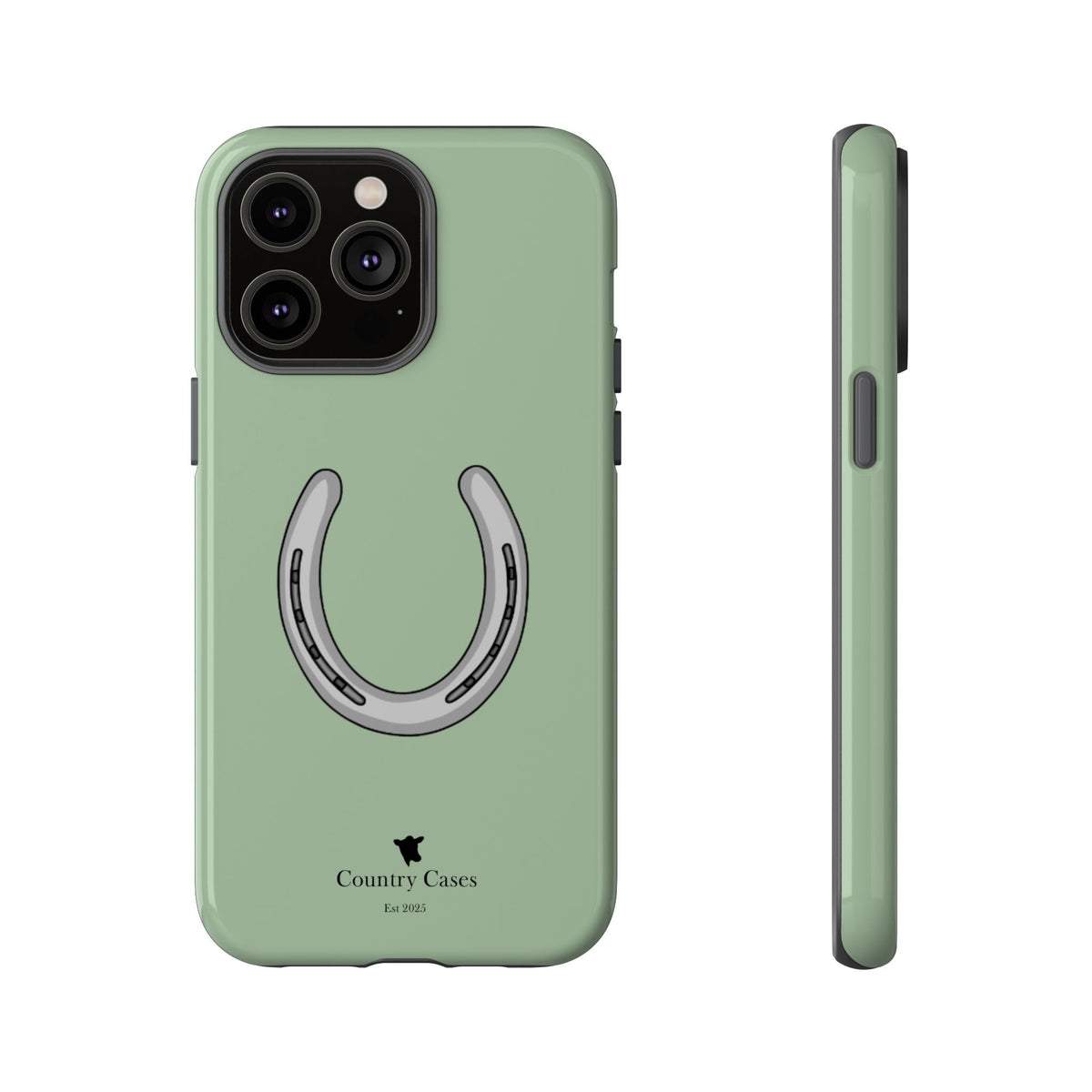 Horse Shoe Case