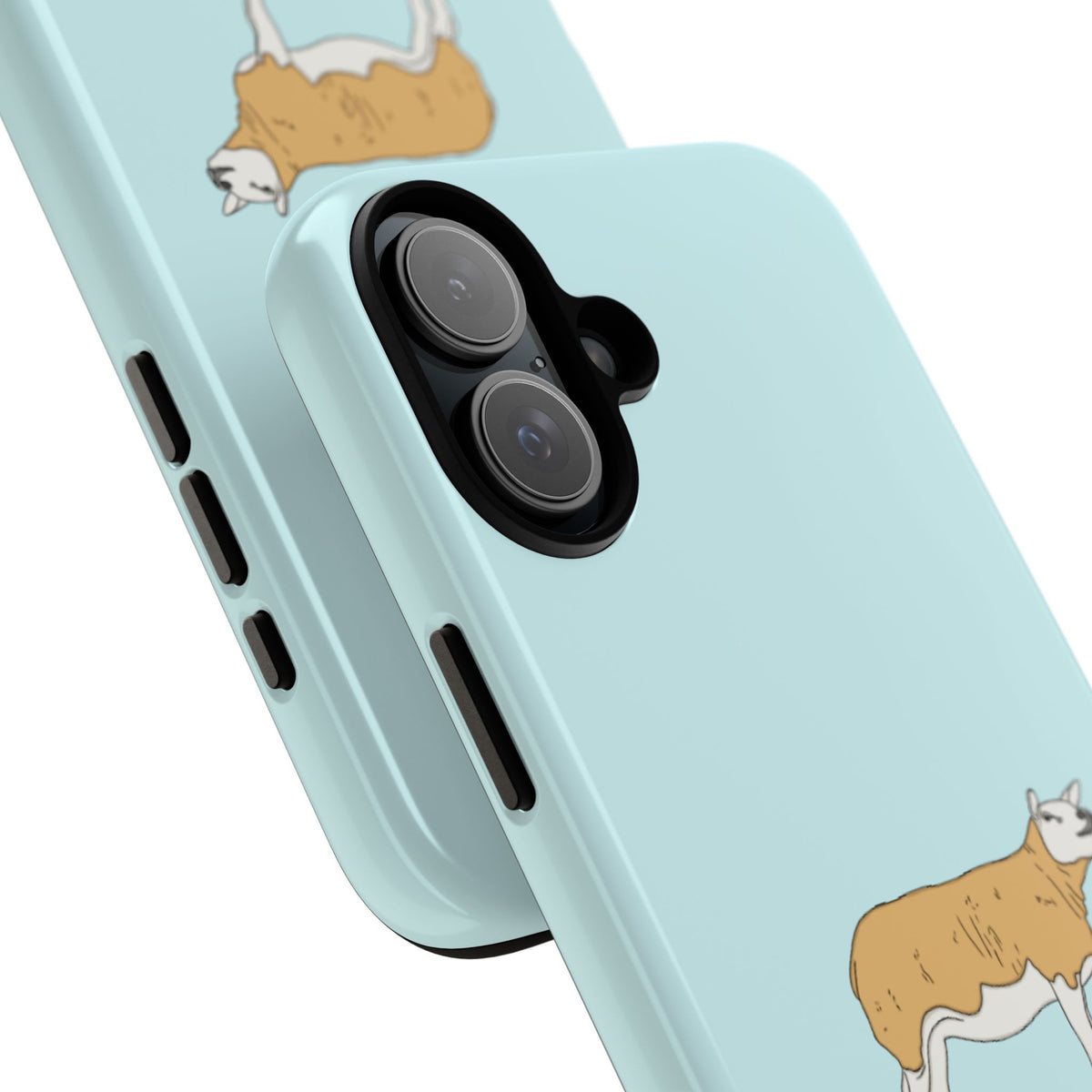 Texal Case