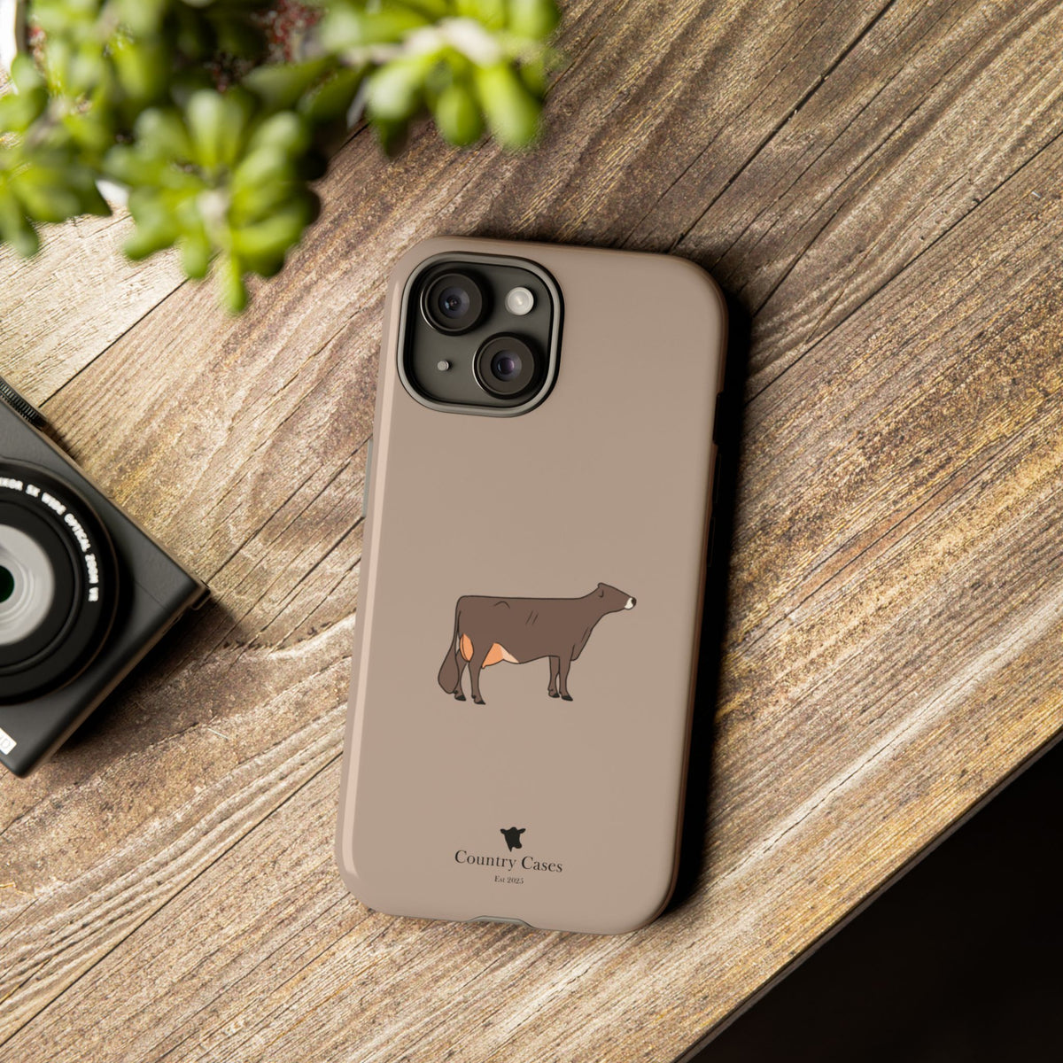 Brown Swiss Case