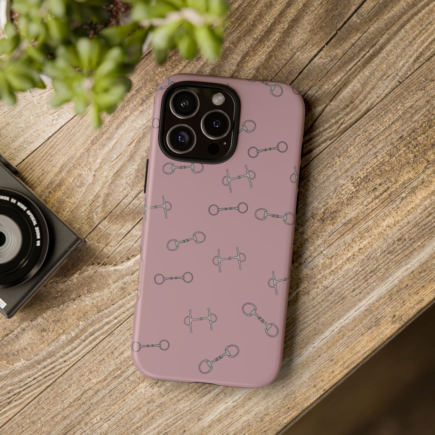 Bridleway Case