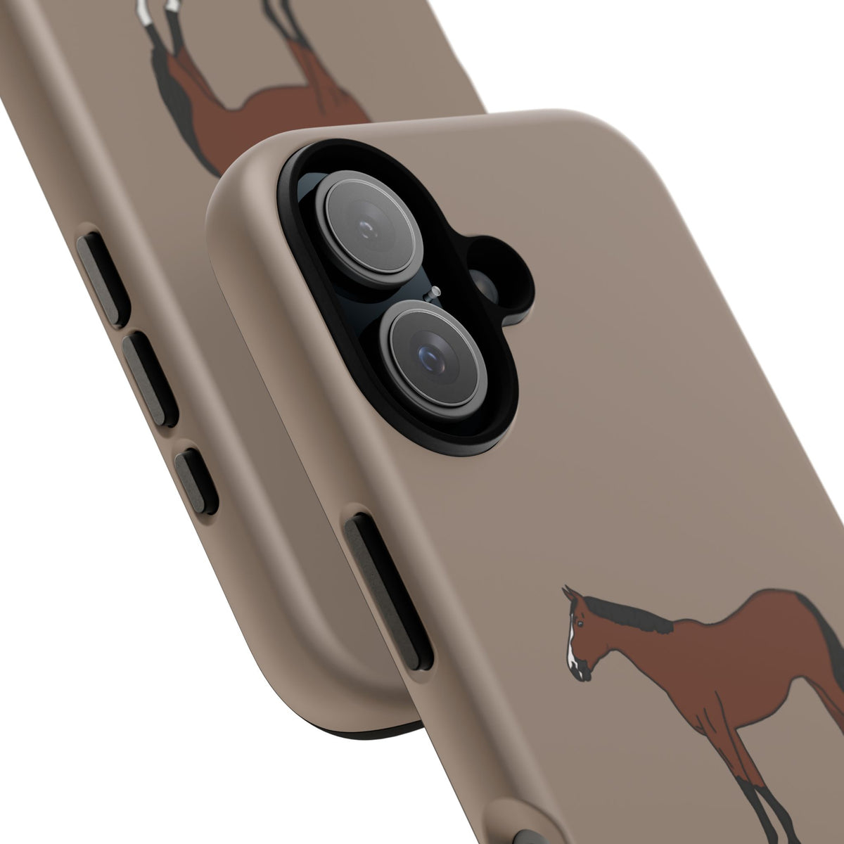Bay Horse Case