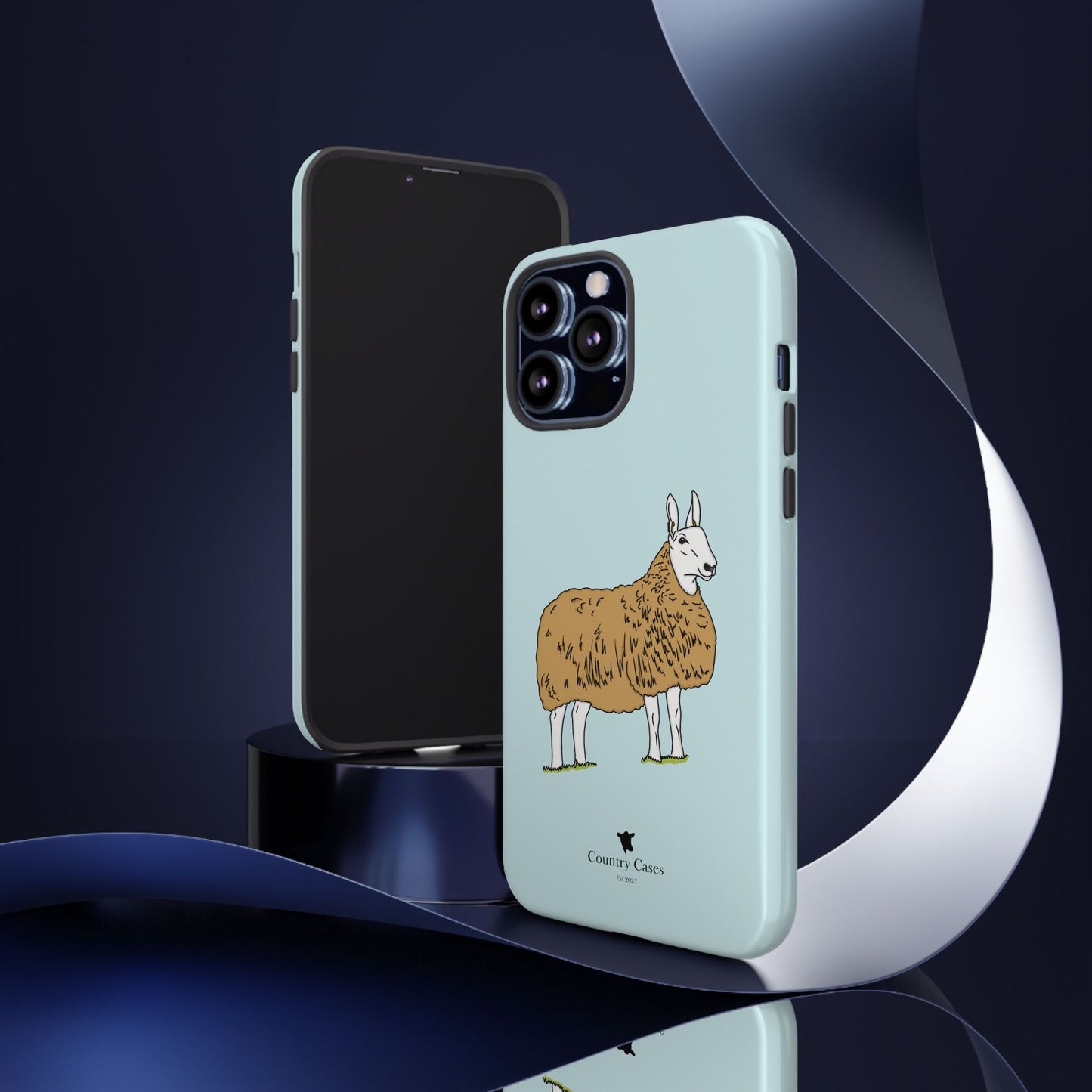 Border Leicester case