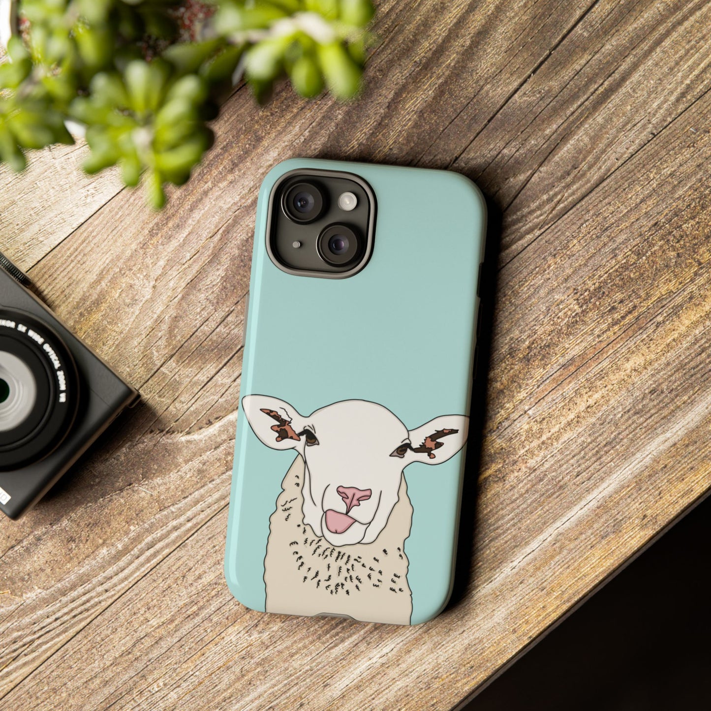 Silly sheep case