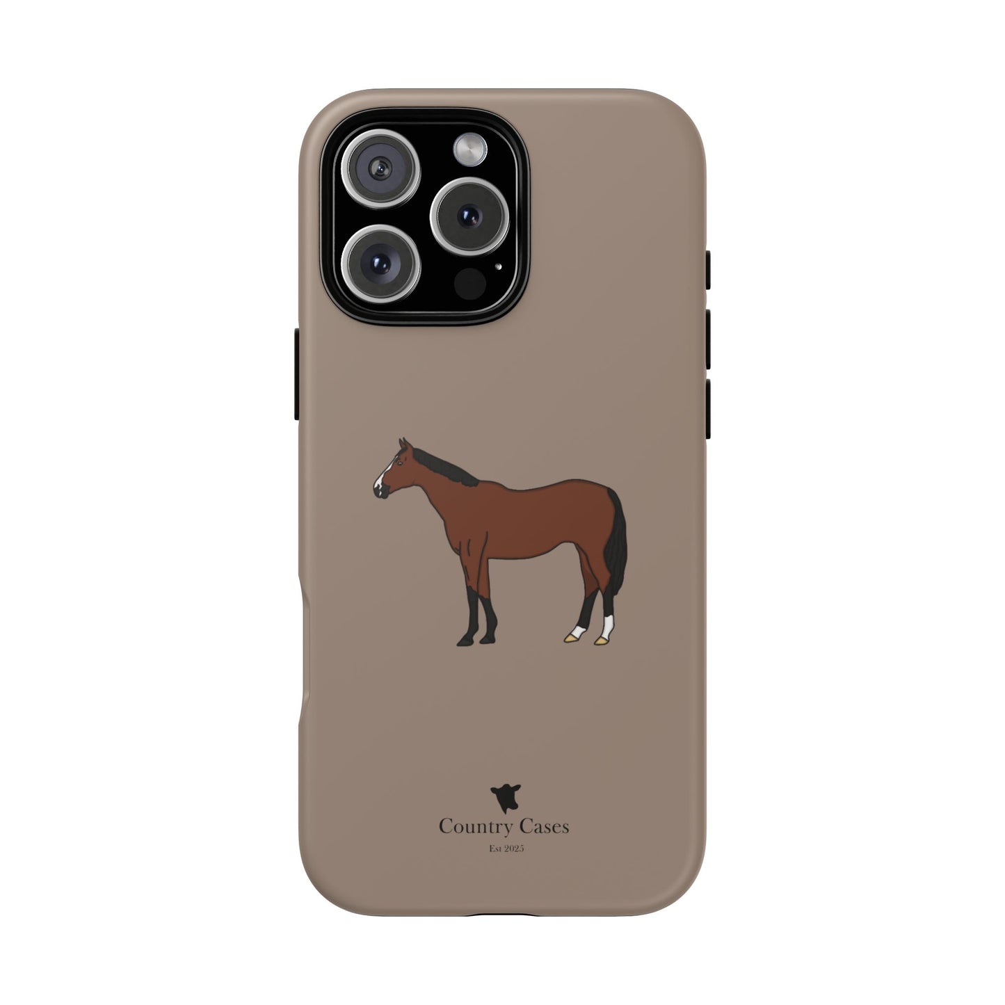Bay horse case