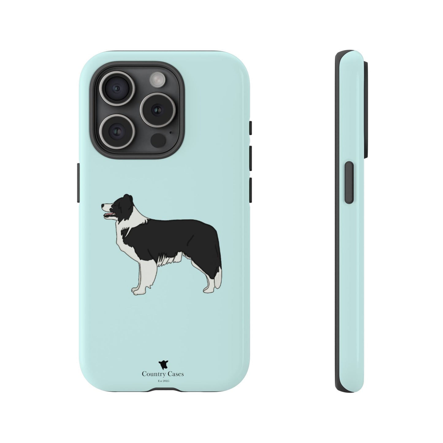 Collie case