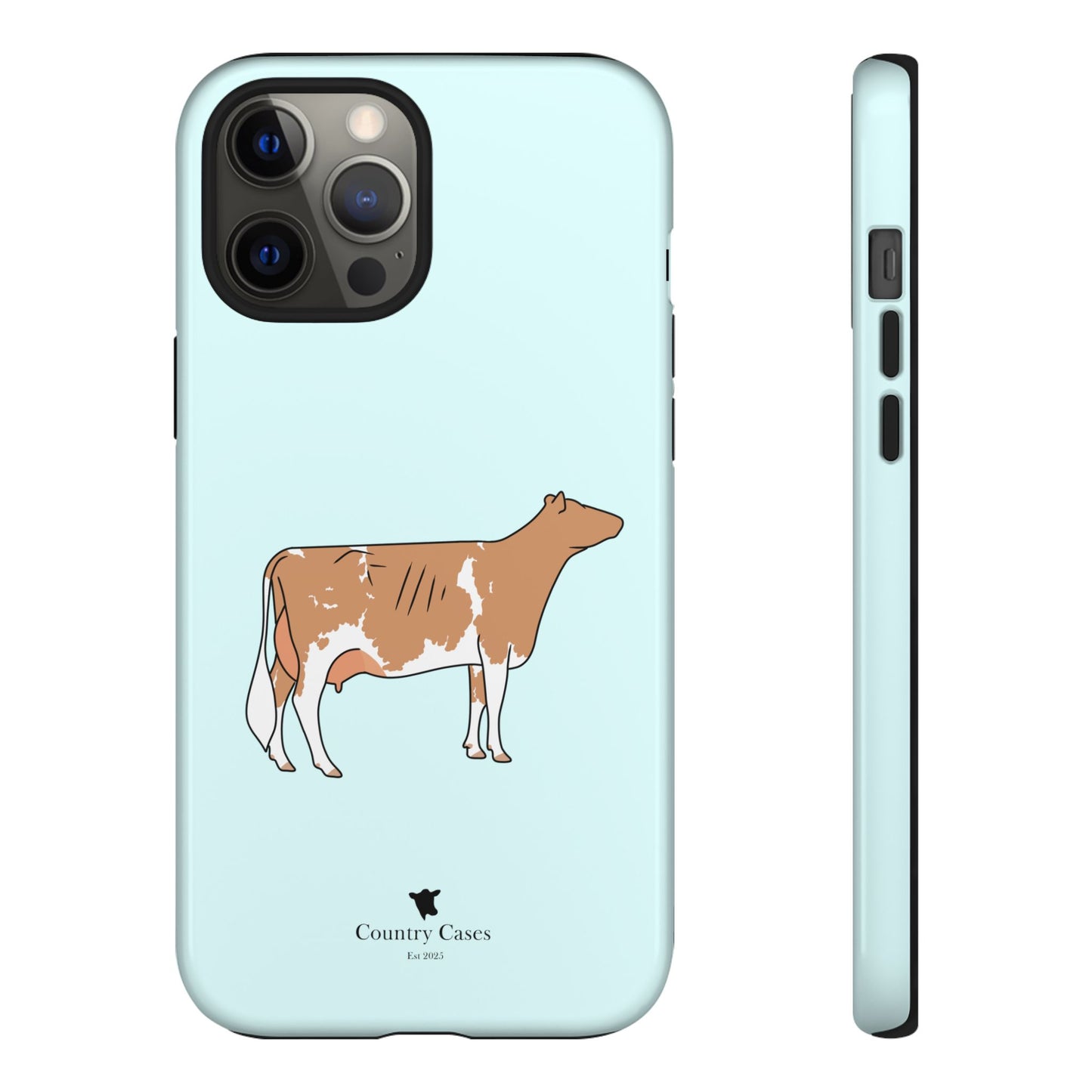 Gurnsey case
