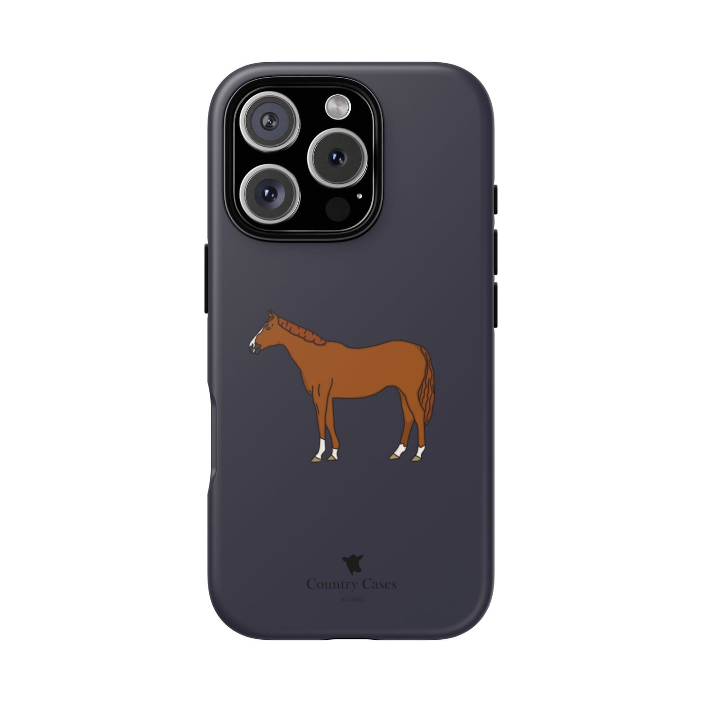 Chestnut horse case
