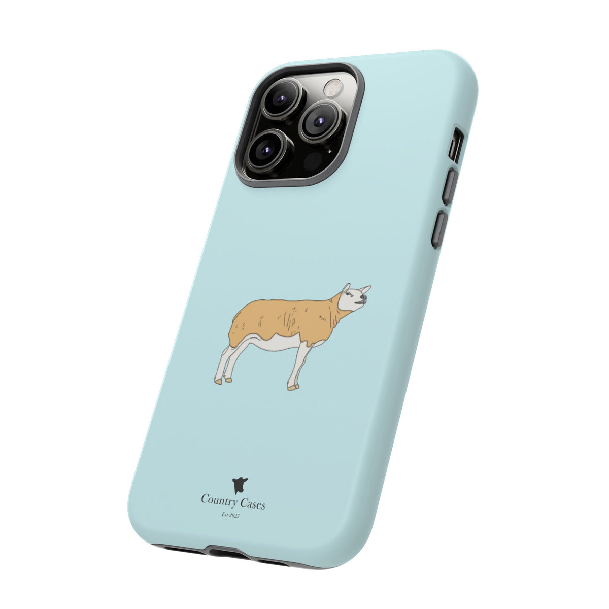 Texal Case