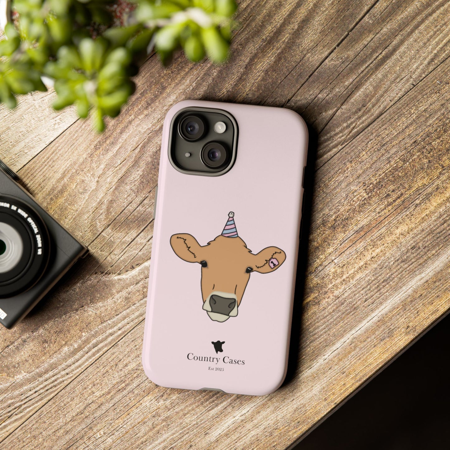 Pink Birthday Case