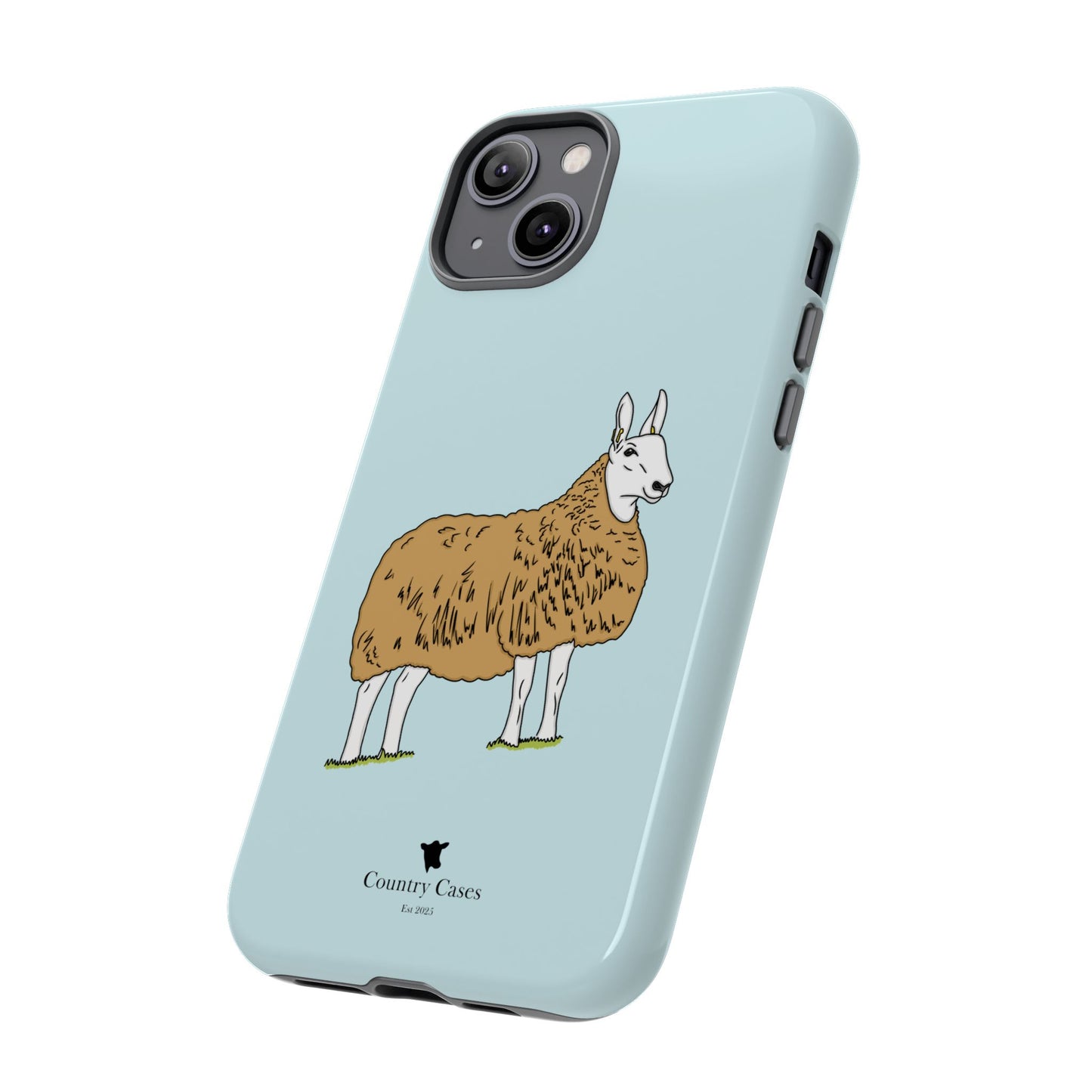 Border Leicester case