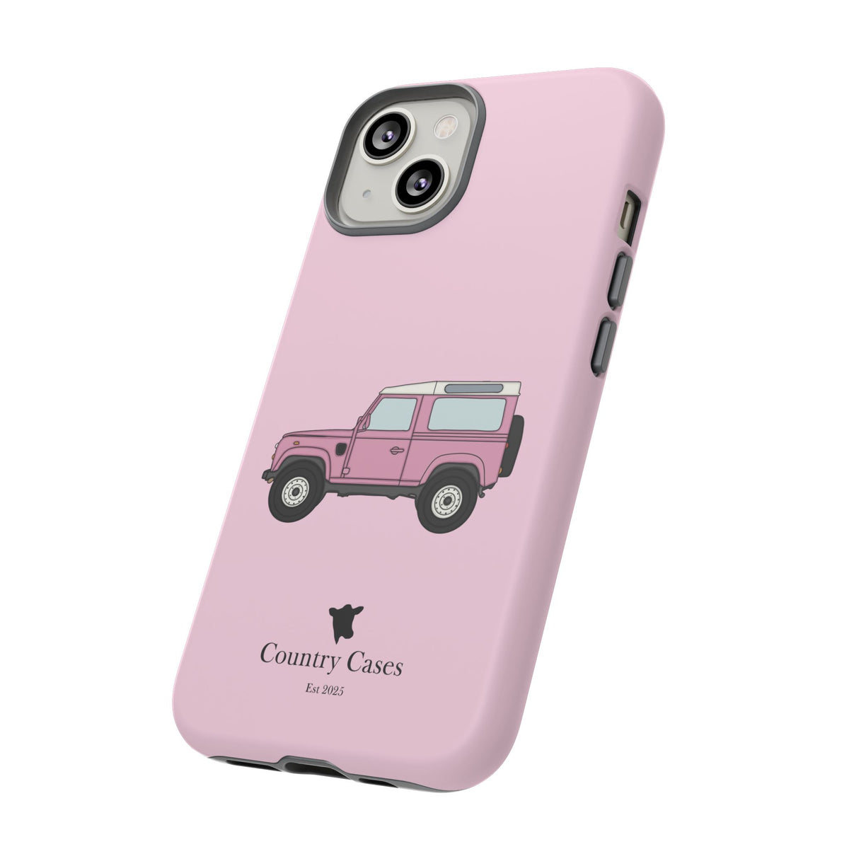 Pink Landy 2.0 case