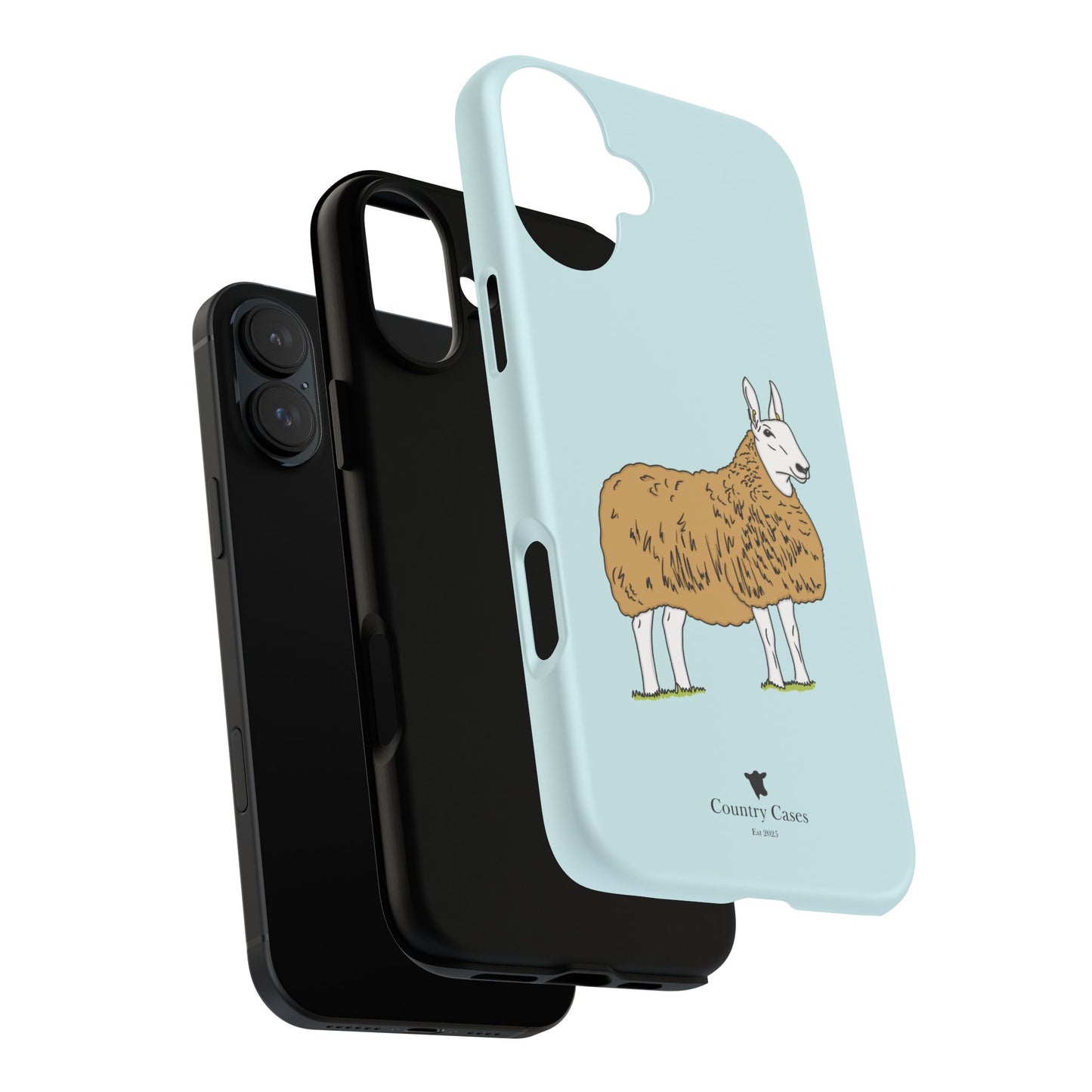 Border Leicester case