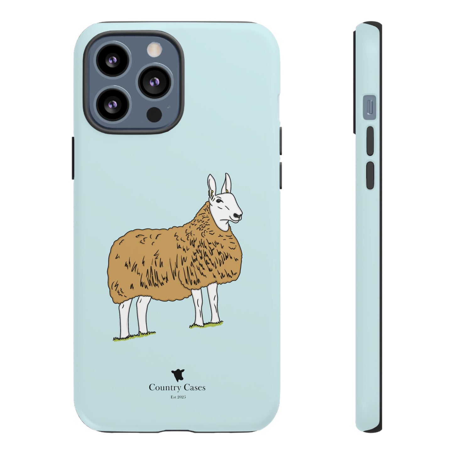 Border Leicester case