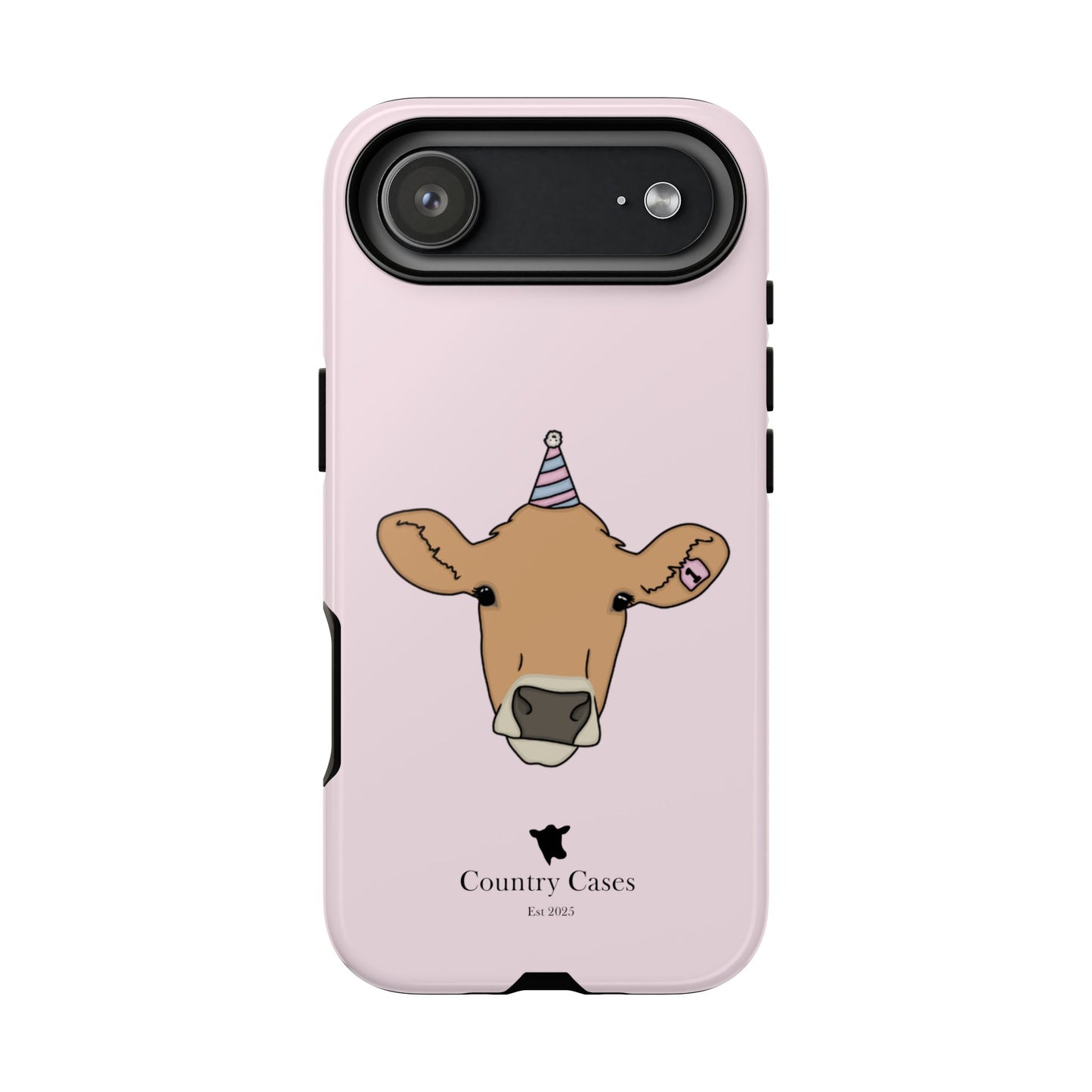 Pink Birthday Case