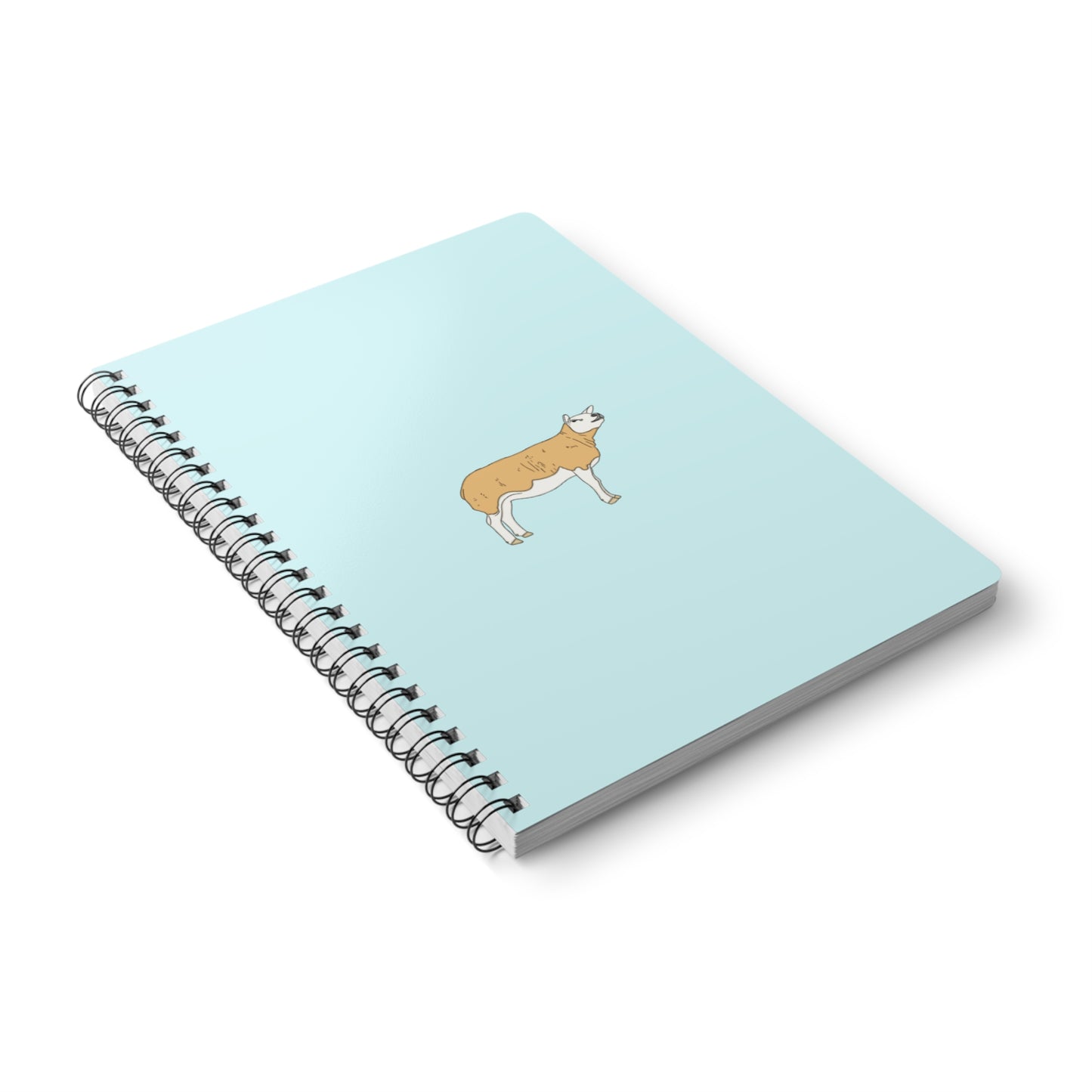 Texal notebook