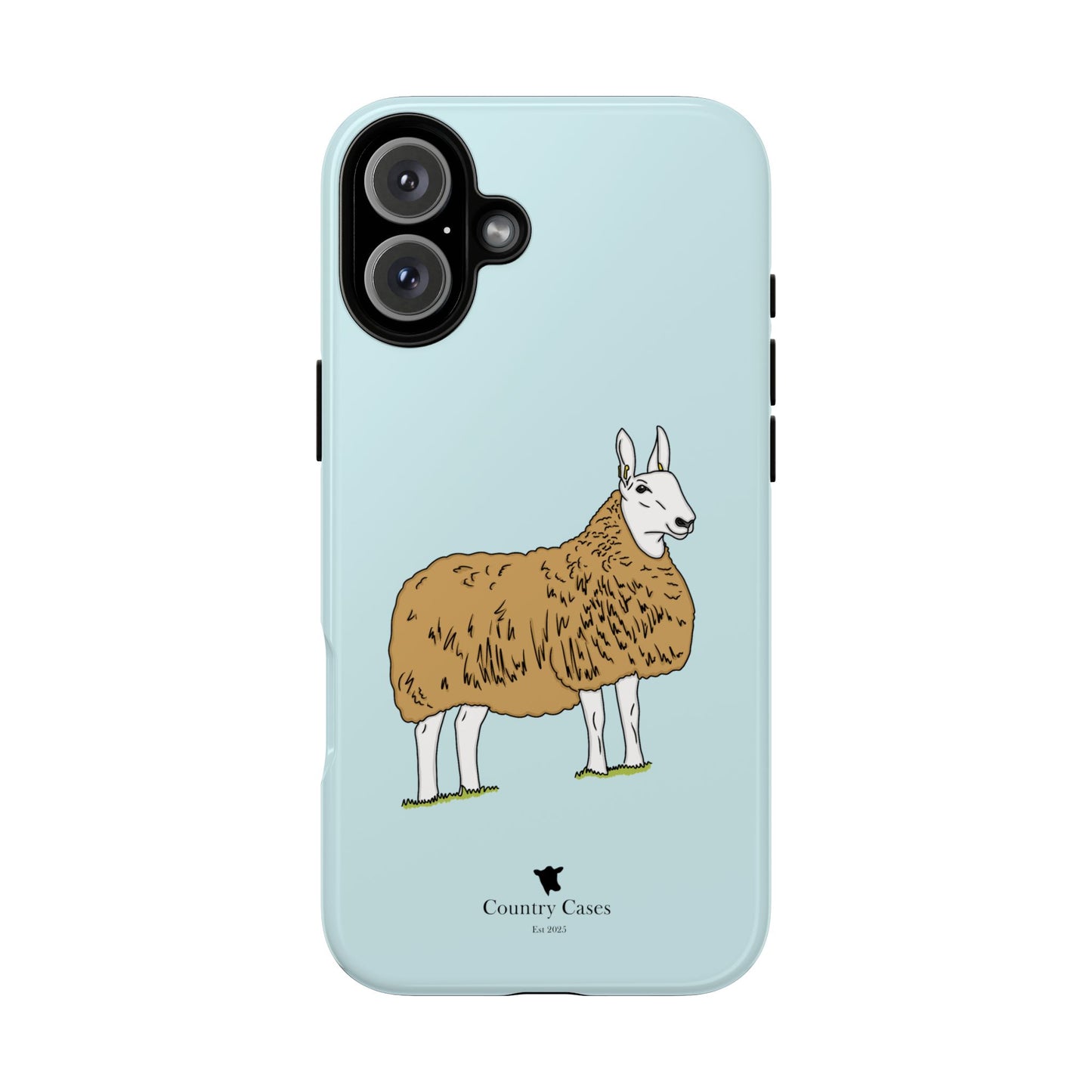 Border Leicester case