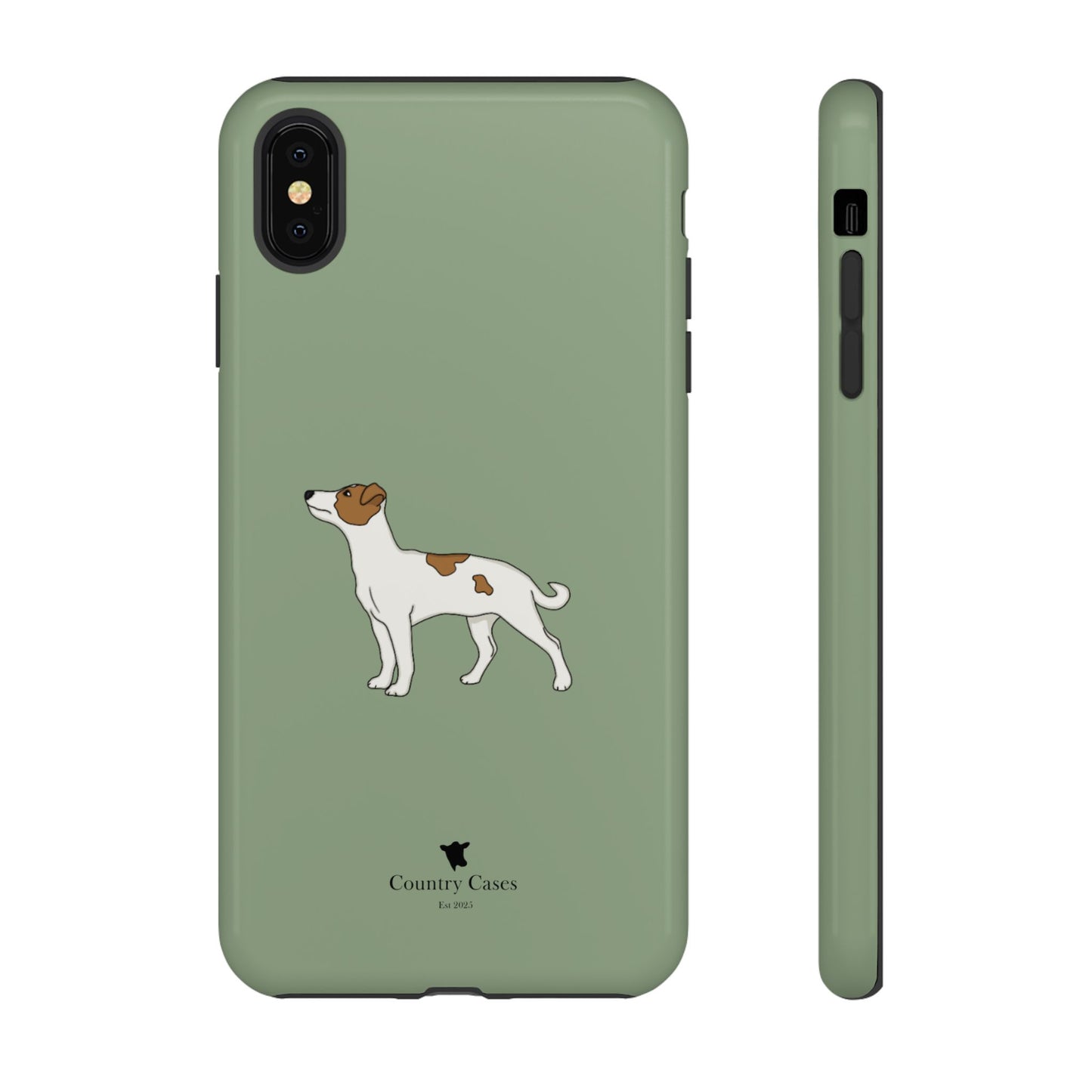 Jack Russell terrier case