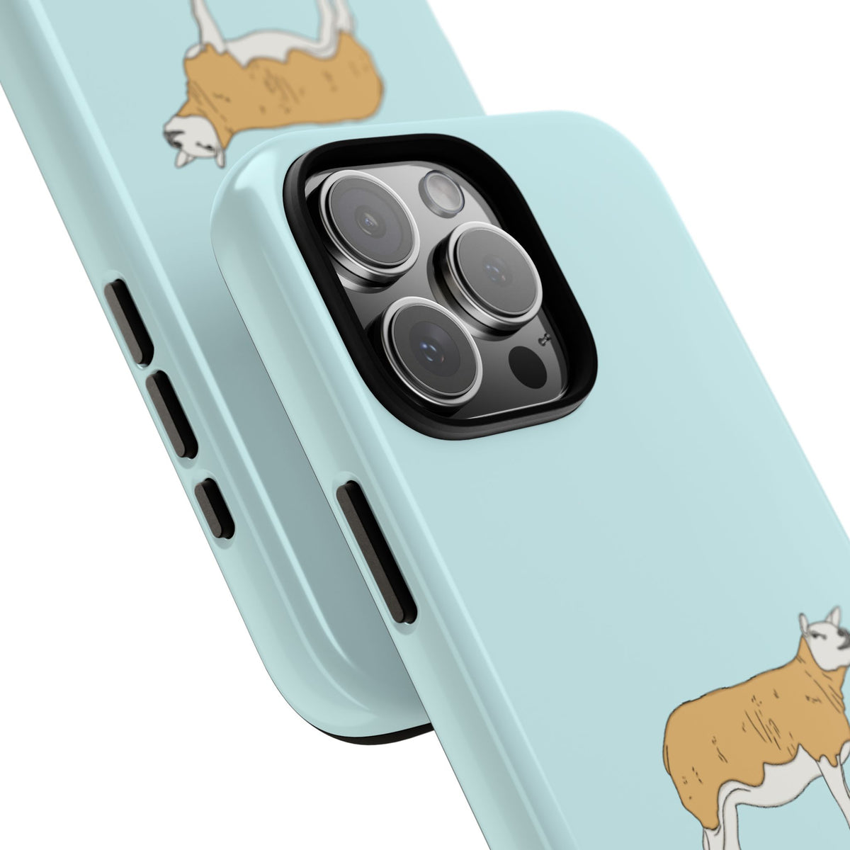Texal Case