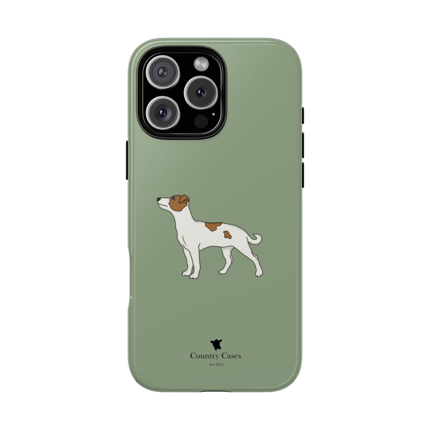 Jack Russell terrier case