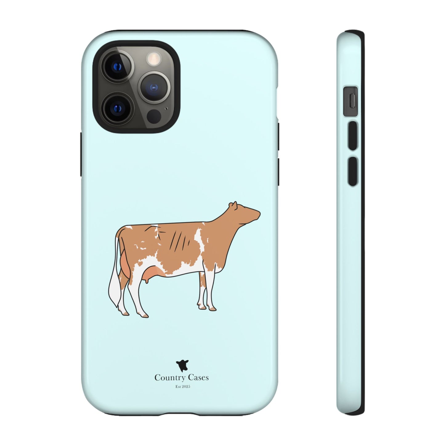 Gurnsey case