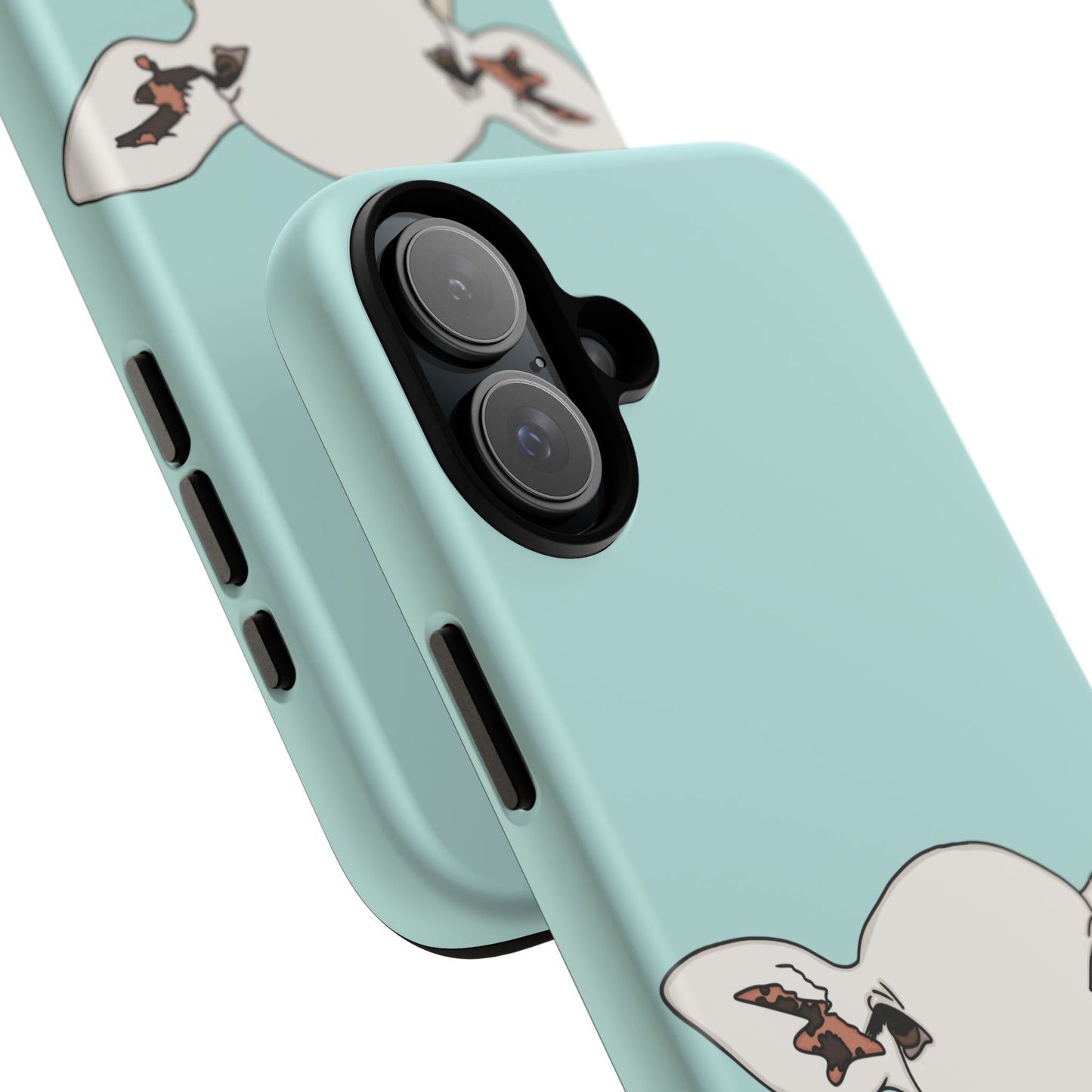 Silly sheep case