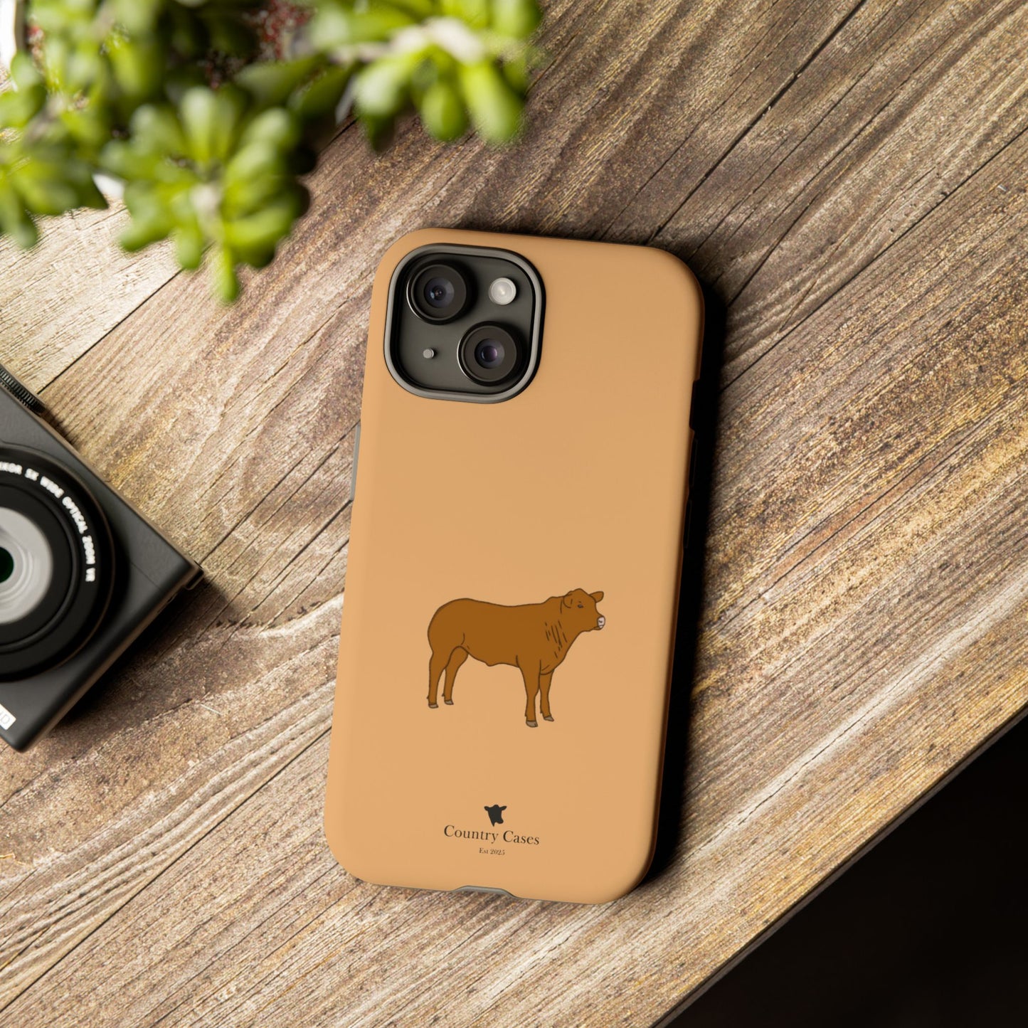 Beef Cow Case