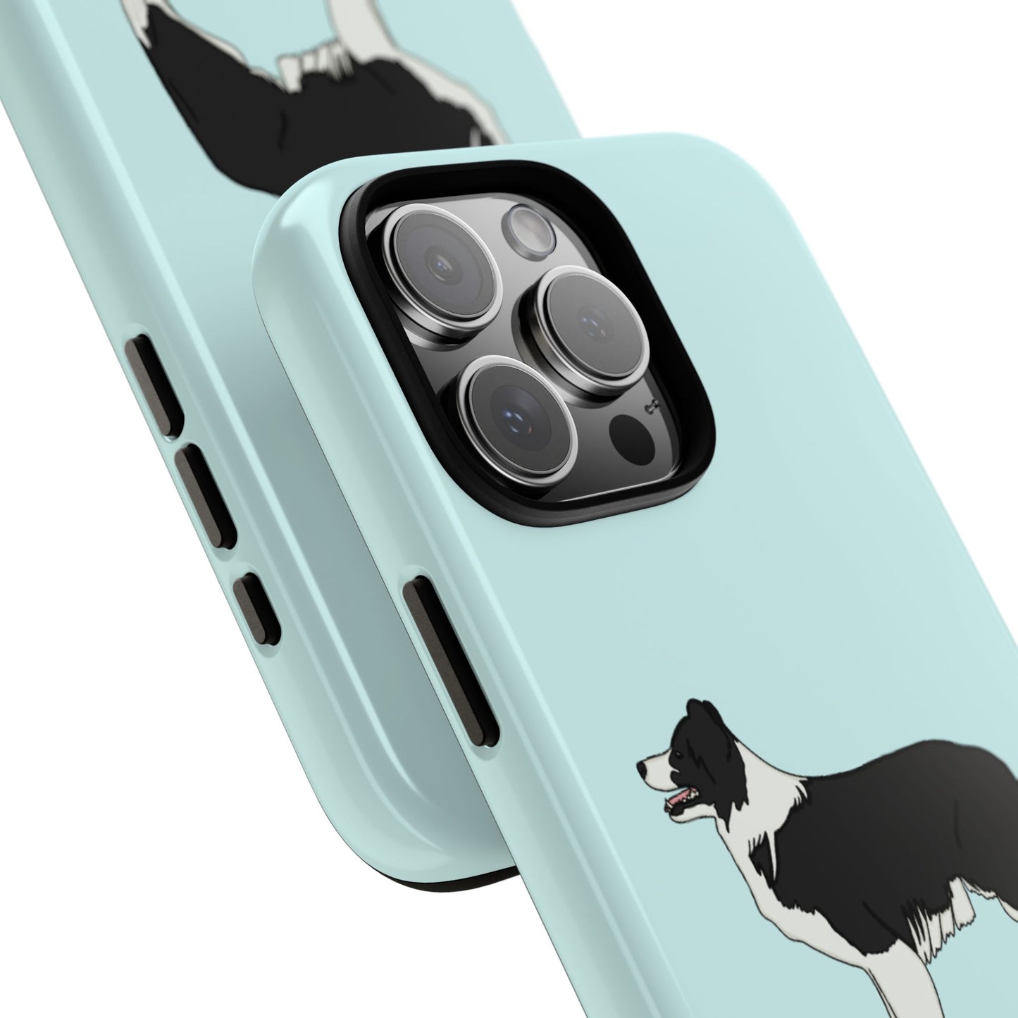 Collie case