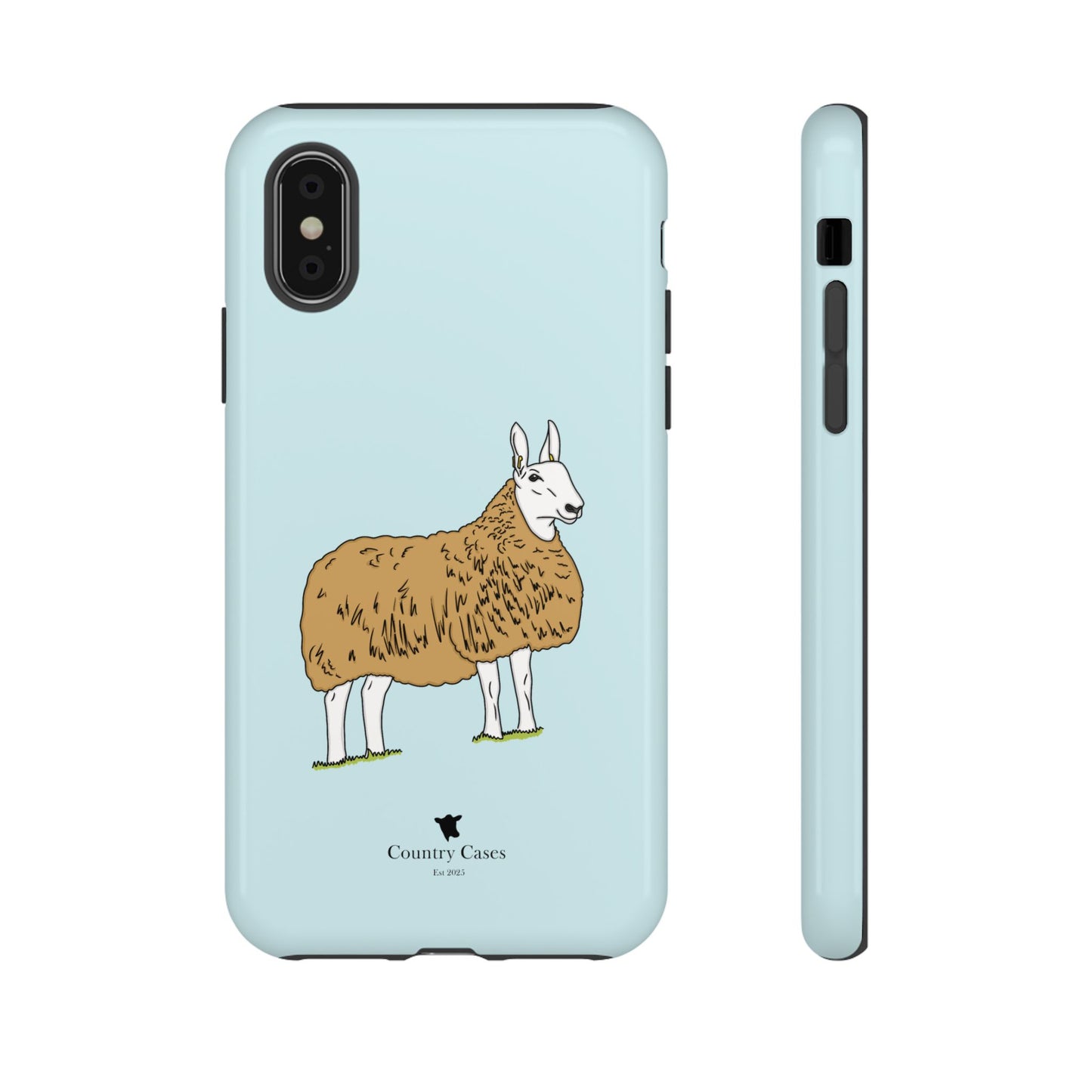 Border Leicester case