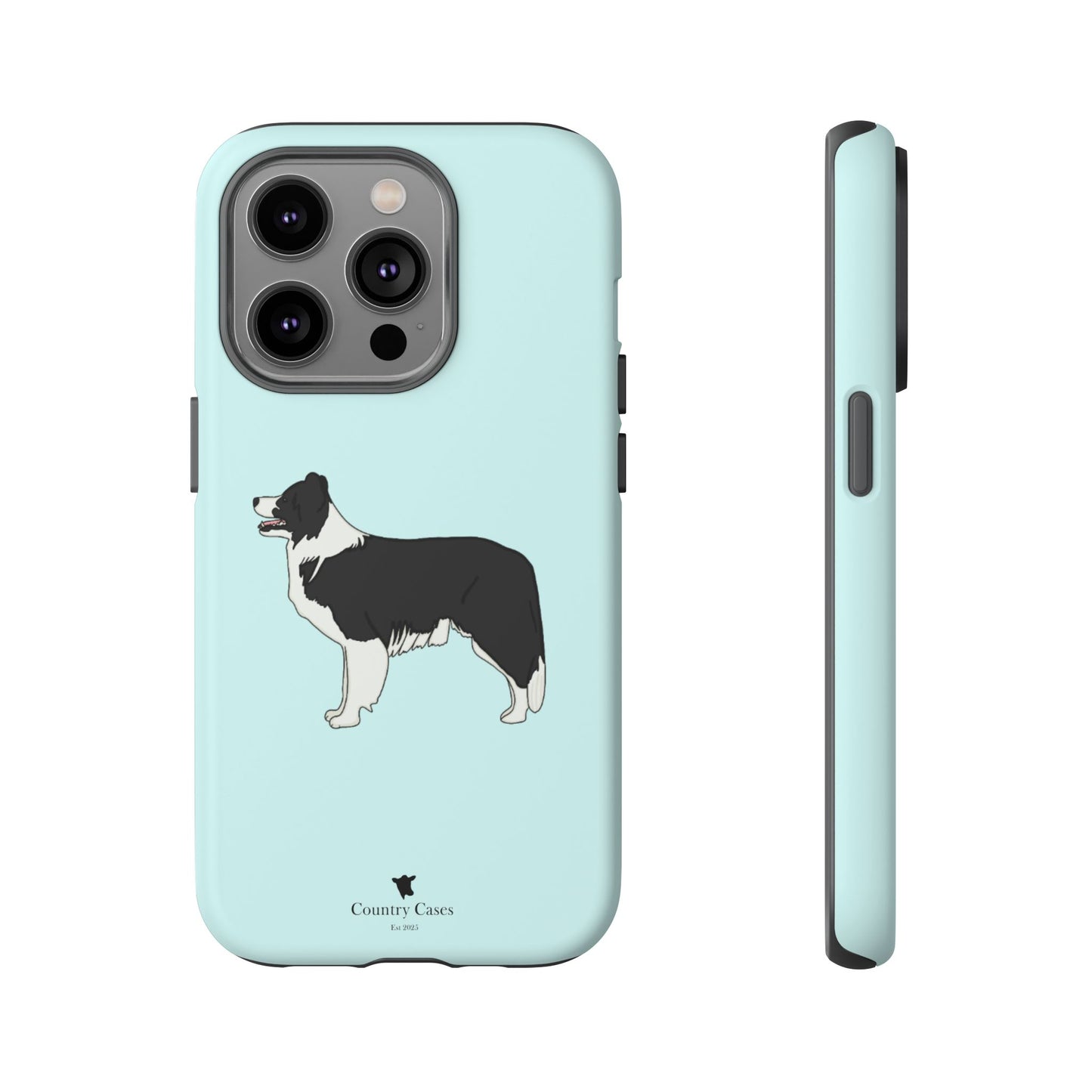 Collie case