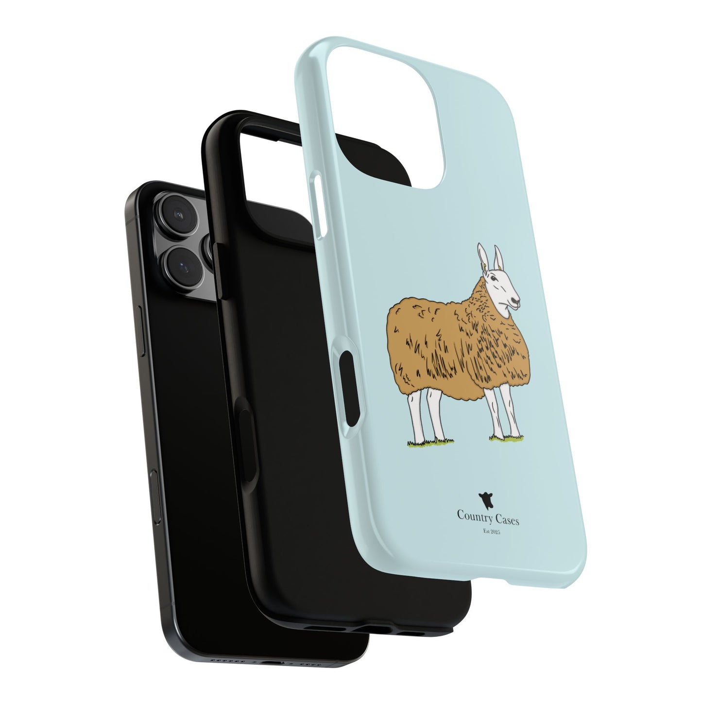 Border Leicester case