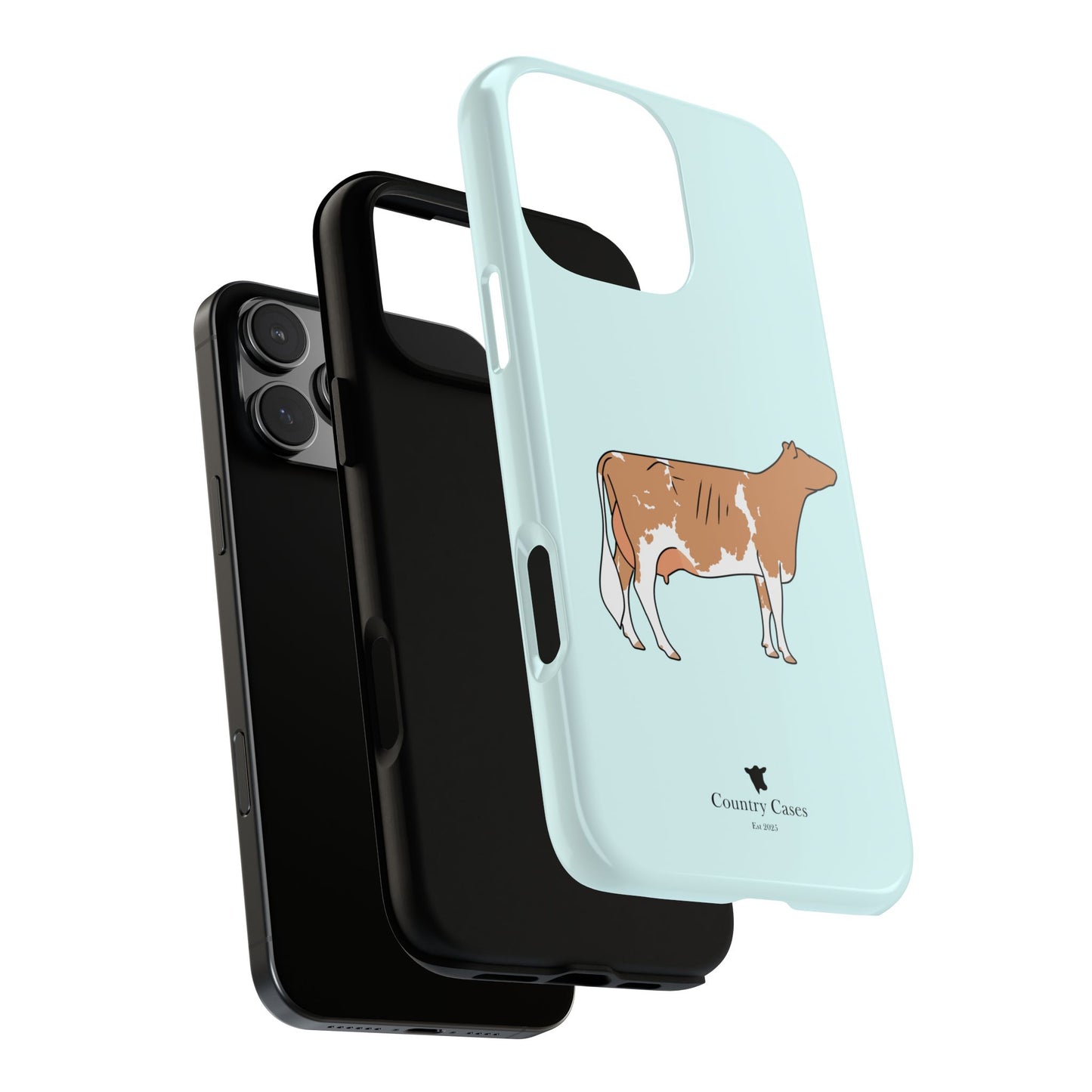 Gurnsey case