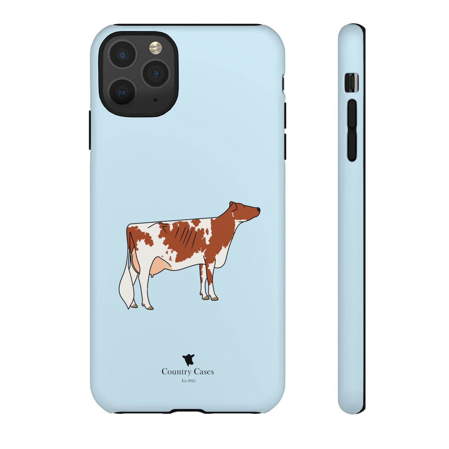 Ayrshire Case