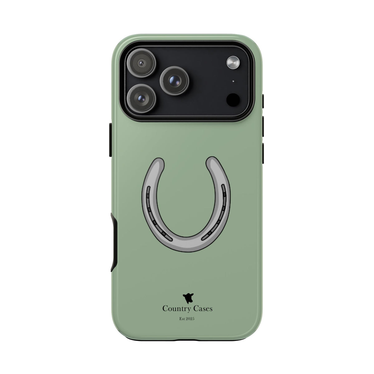 Horse Shoe Case