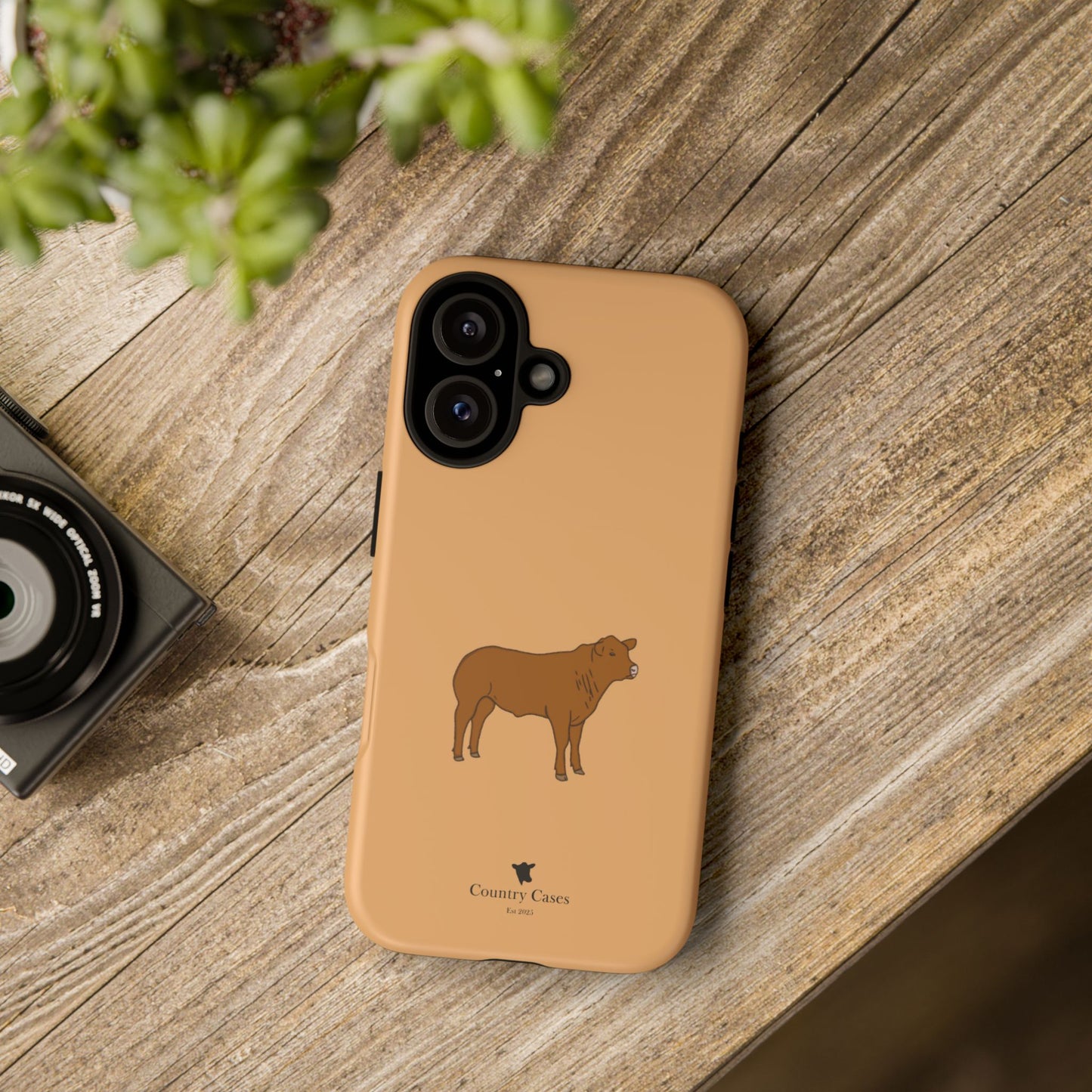 Beef Cow Case