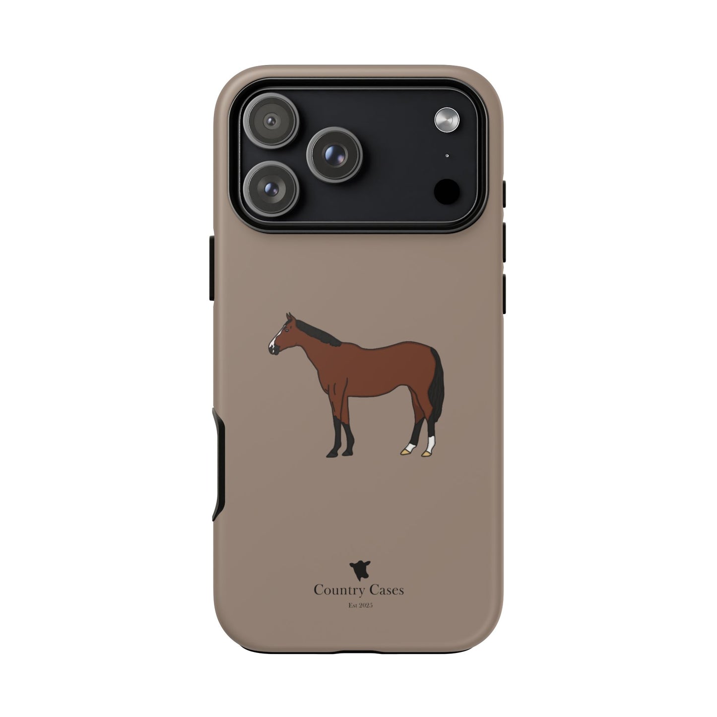 Bay horse case
