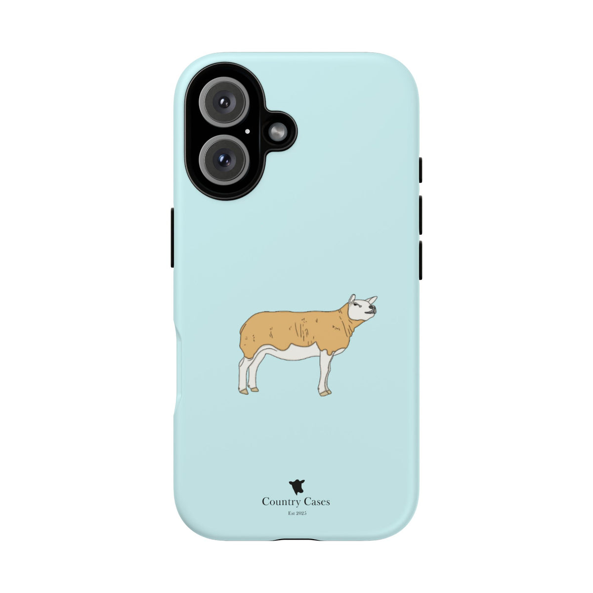 Texal Case