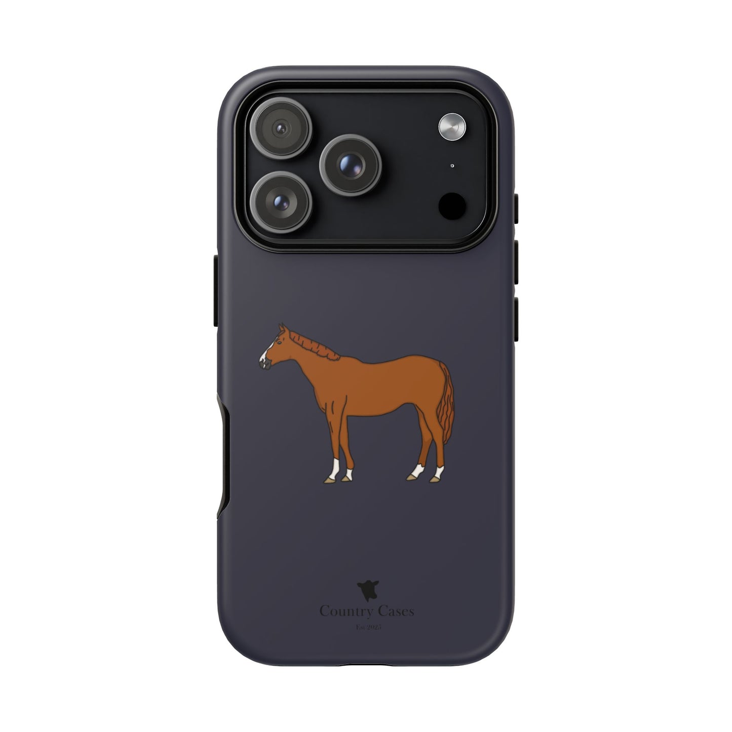Chestnut horse case