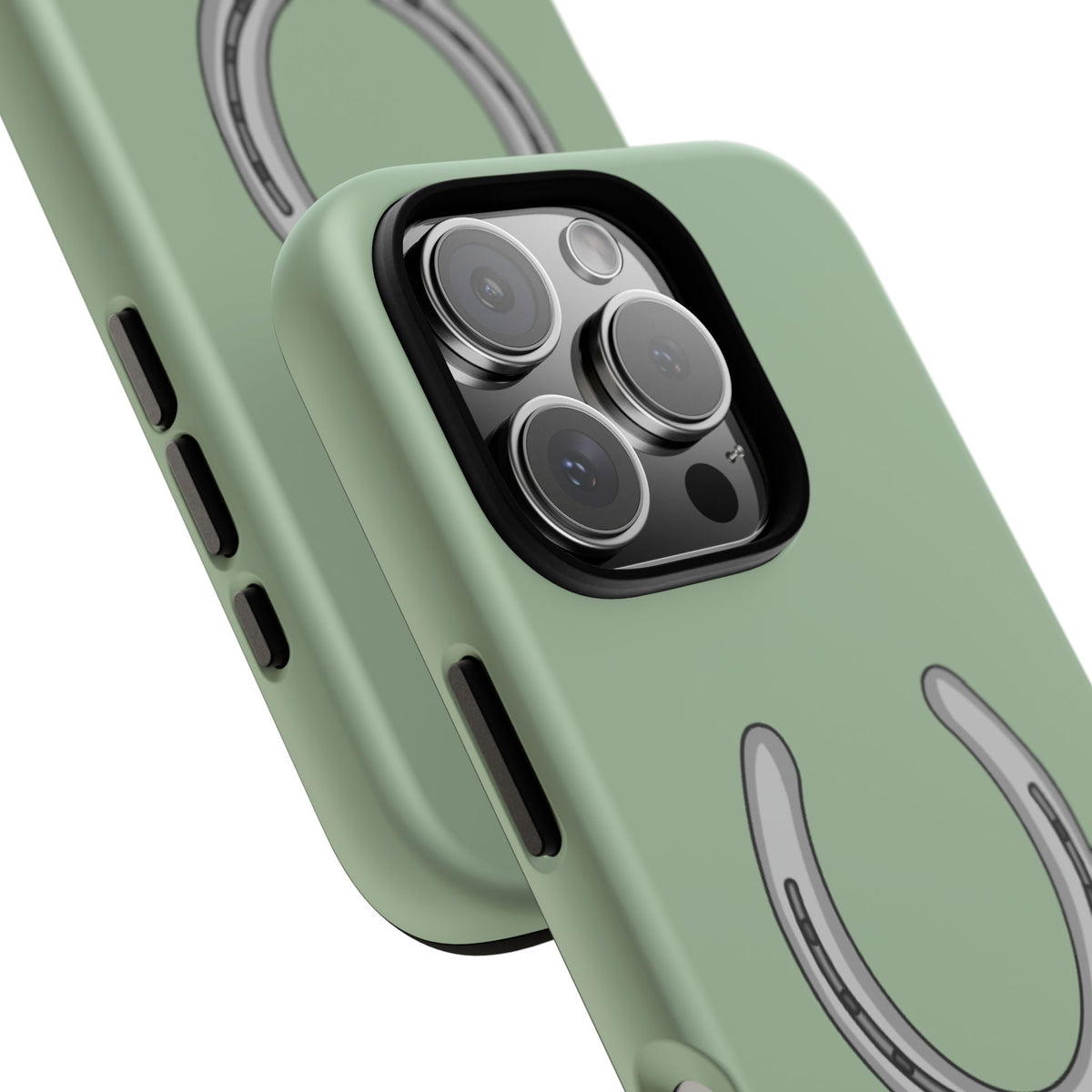 Horse Shoe Case