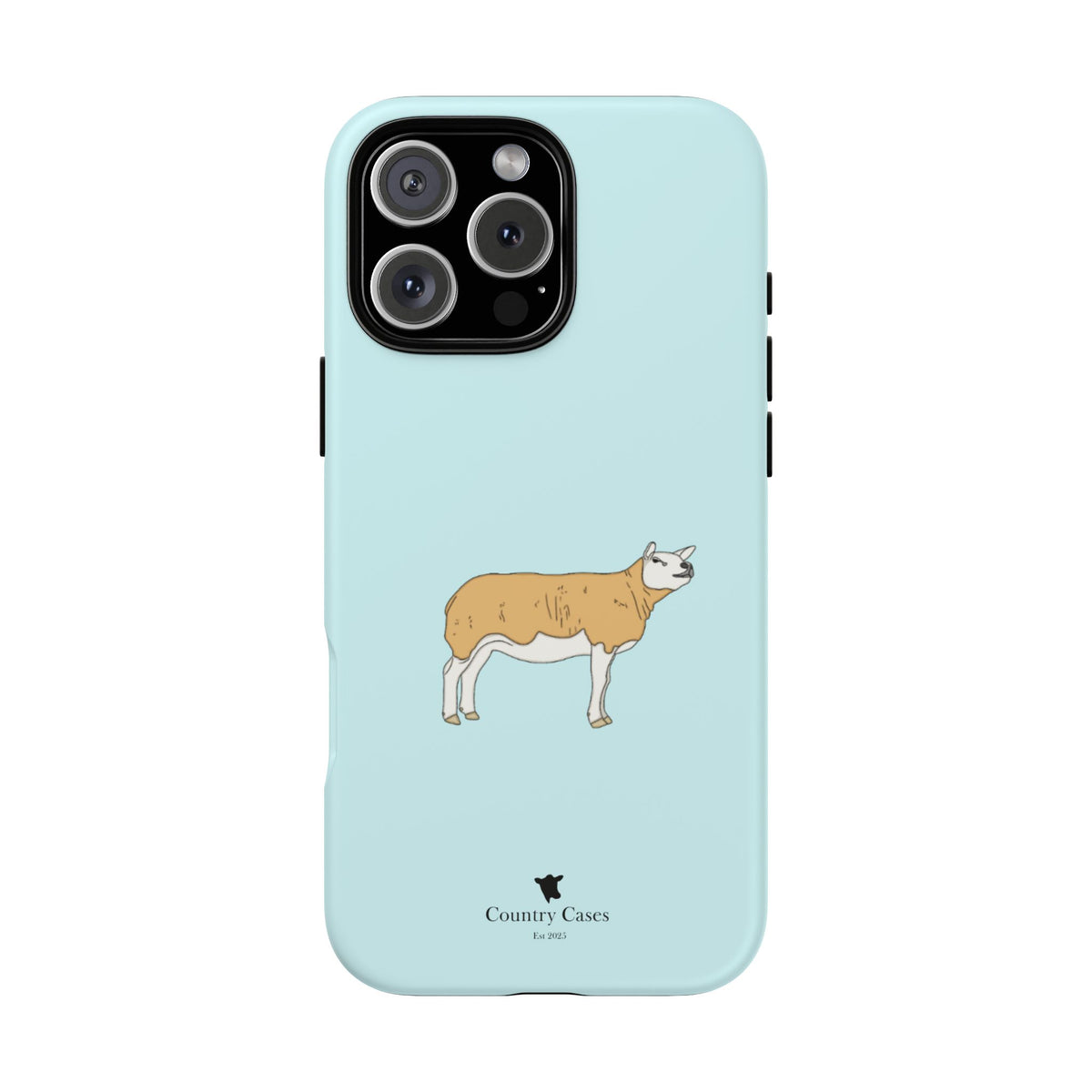 Texal Case
