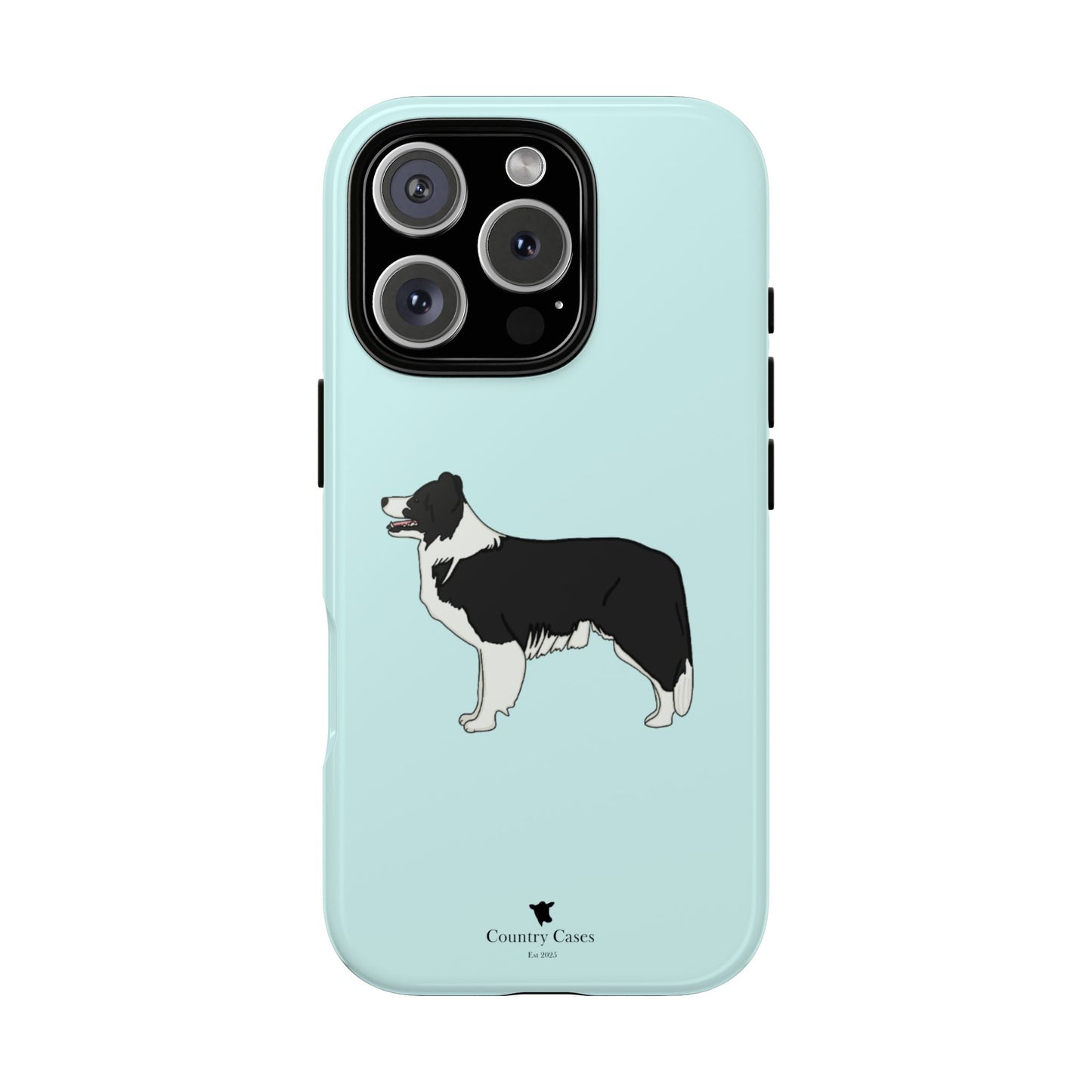 Collie case