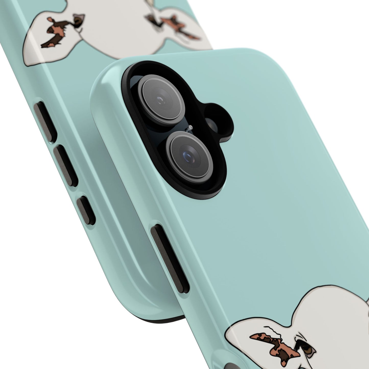 Silly sheep case