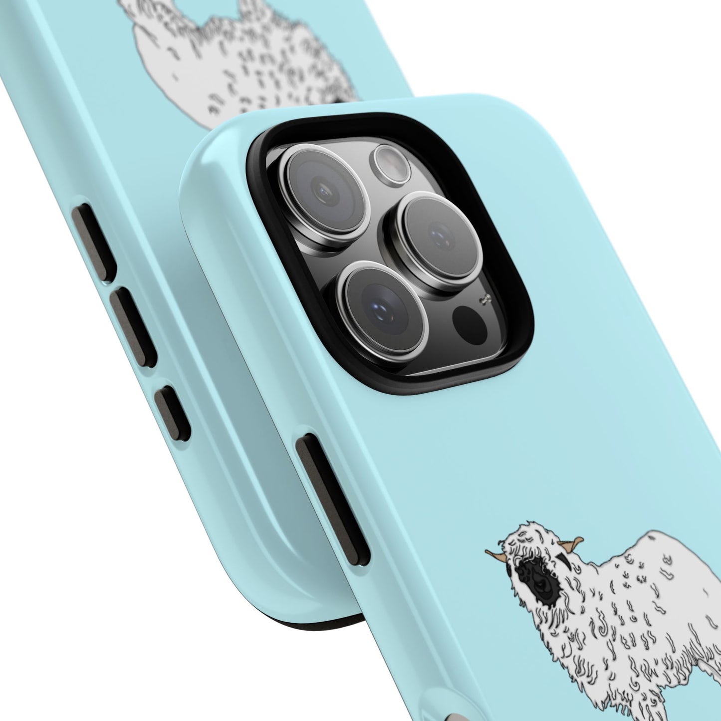 Valias blacknose sheep case