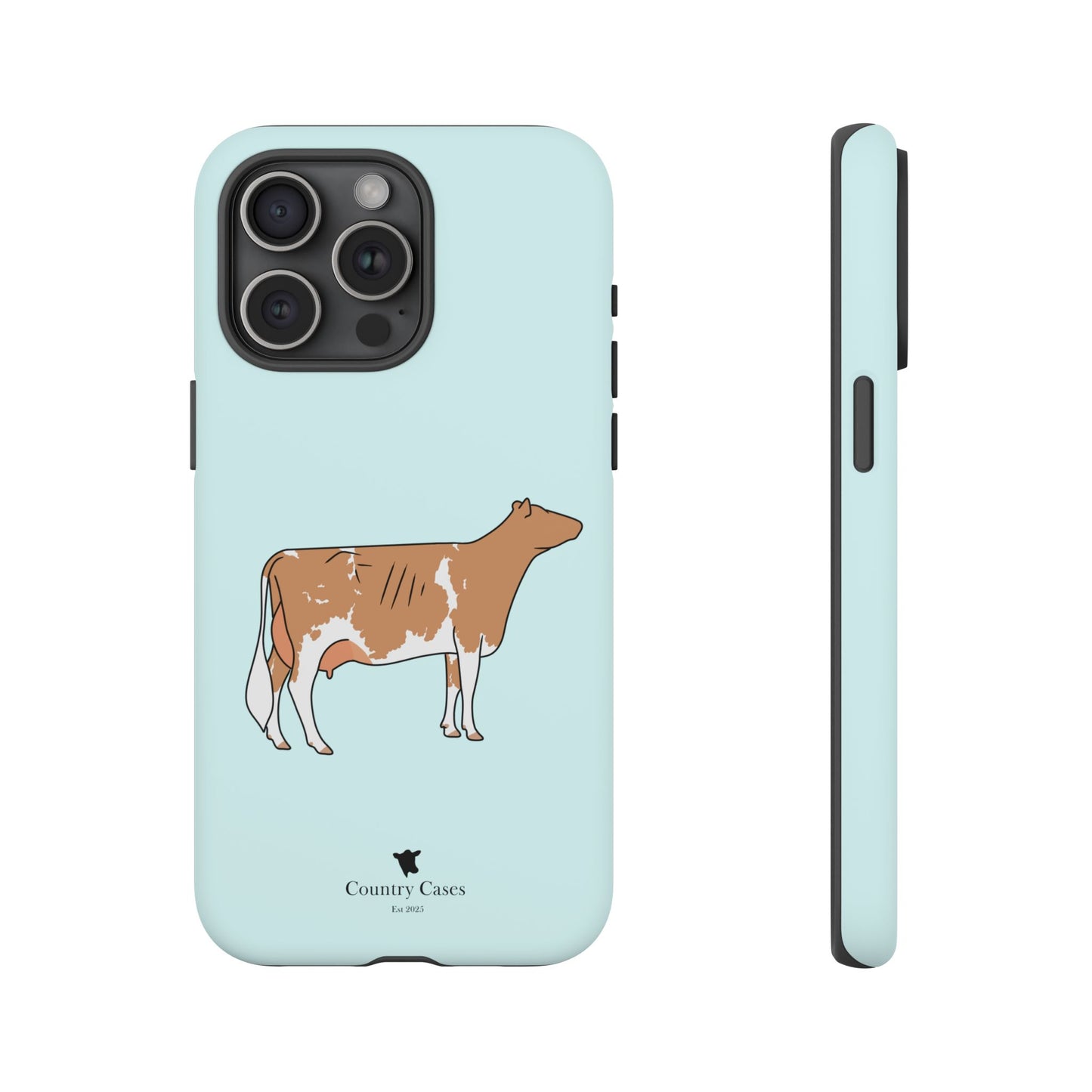 Gurnsey case
