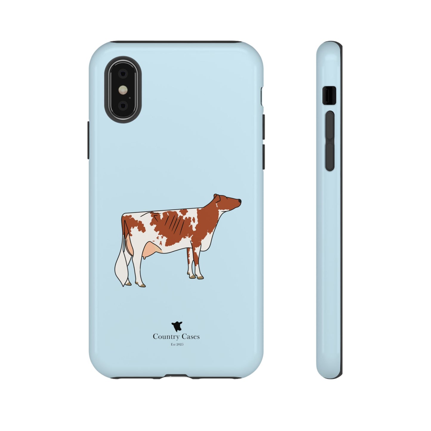 Ayrshire Case