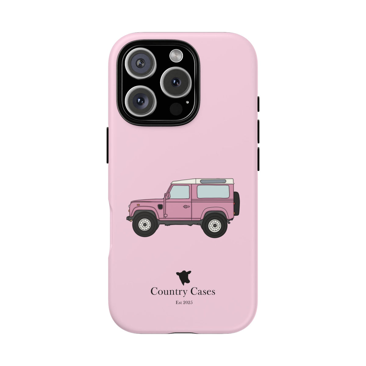 Pink Landy 2.0 case