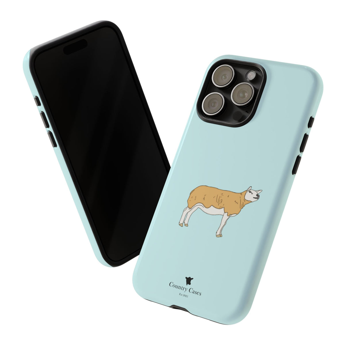 Texal Case